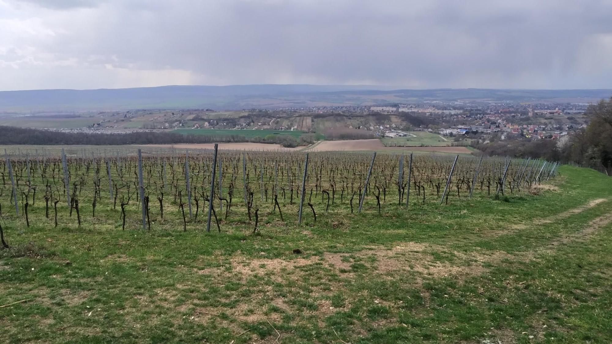 6068b03826b99d5250281013.jpg?width=2000&