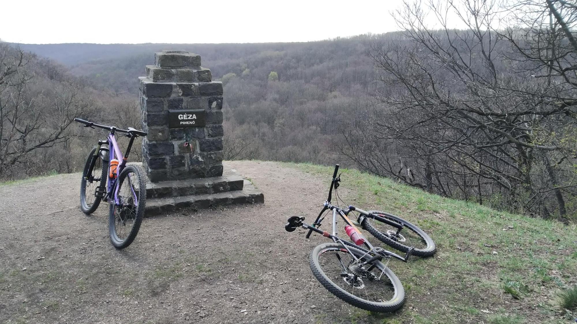 6068b03a8f169850b1a61ec5.jpg?width=2000&