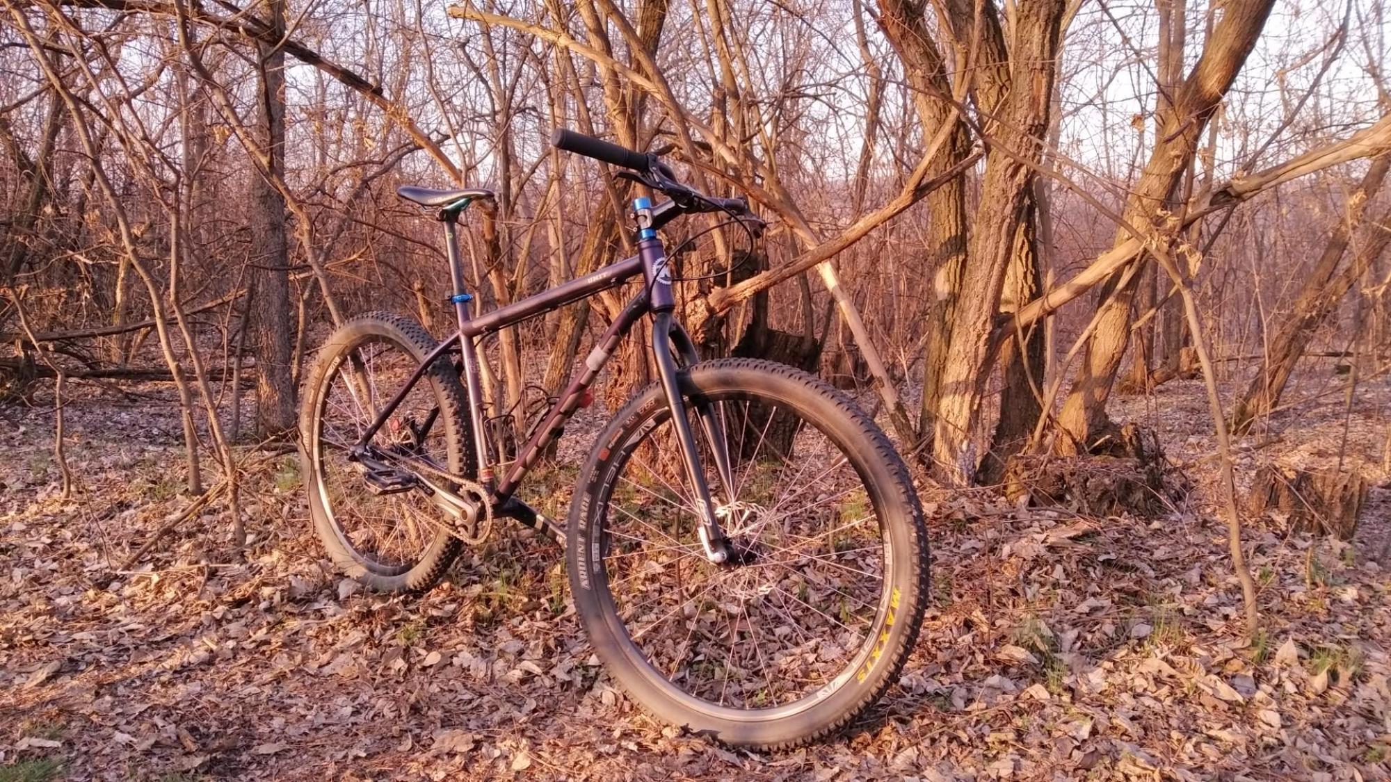 621b9af53c538028a435dd89.jpg?width=2000&