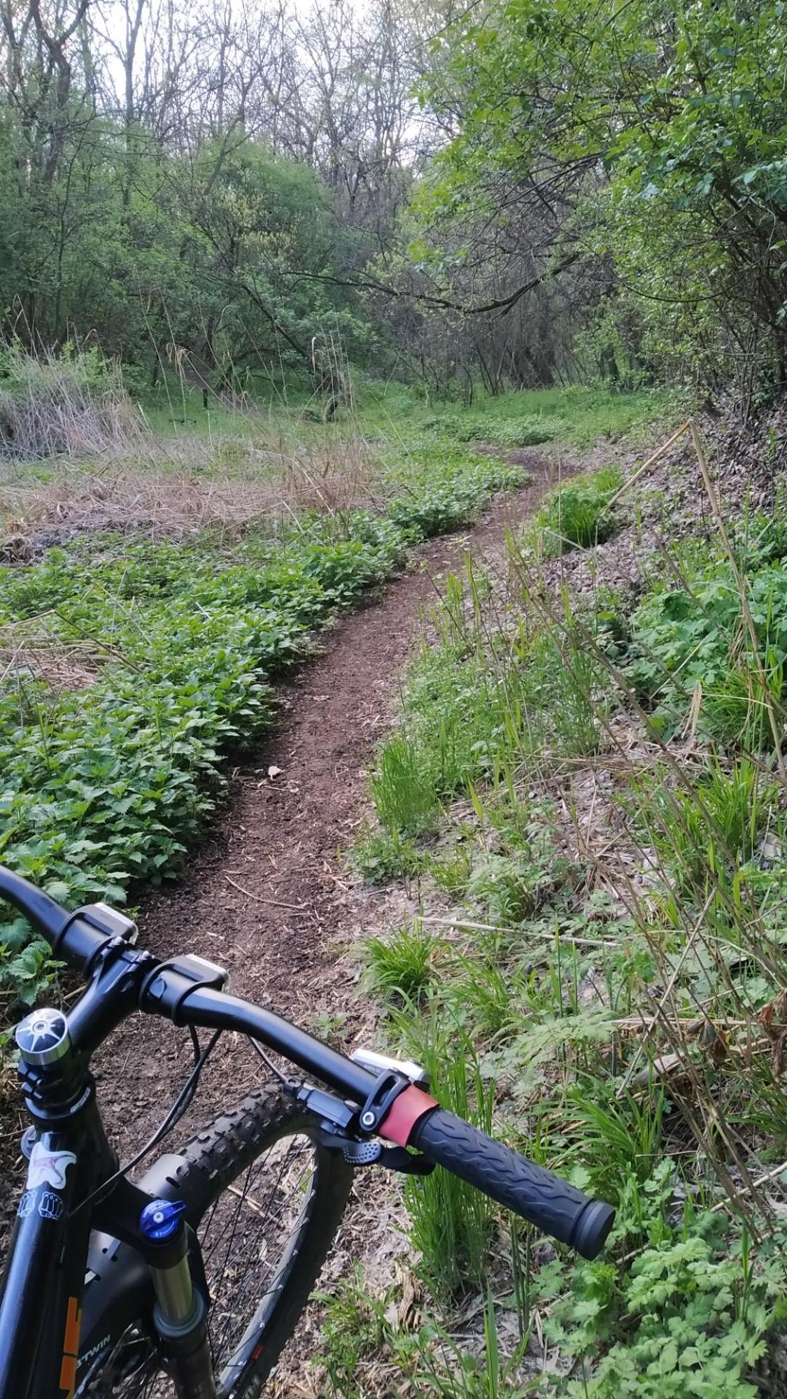 626c13f53051cf7dd8c3436e.jpg?width=2000&