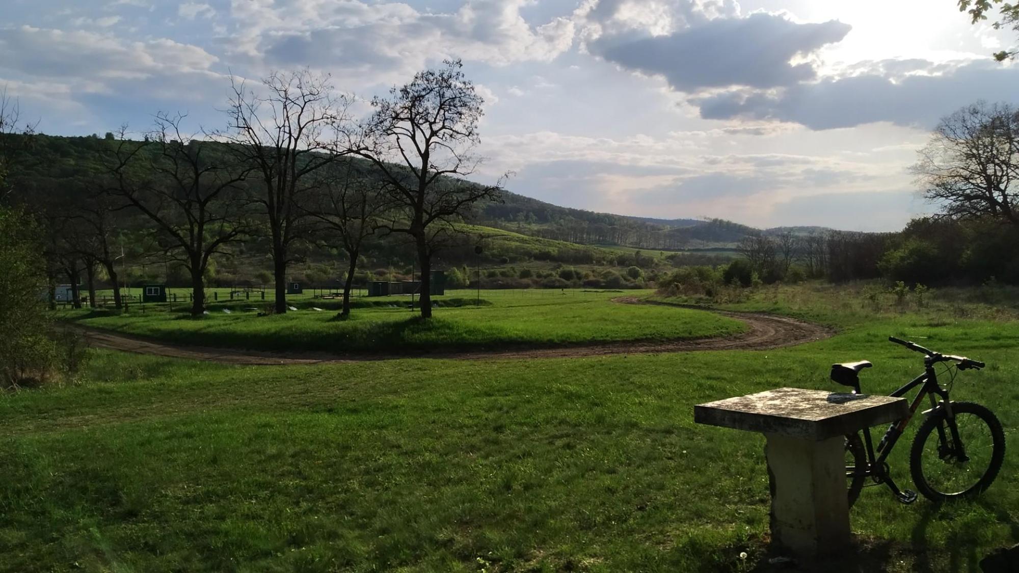 626d6d193cf4b848126170ca.jpg?width=2000&