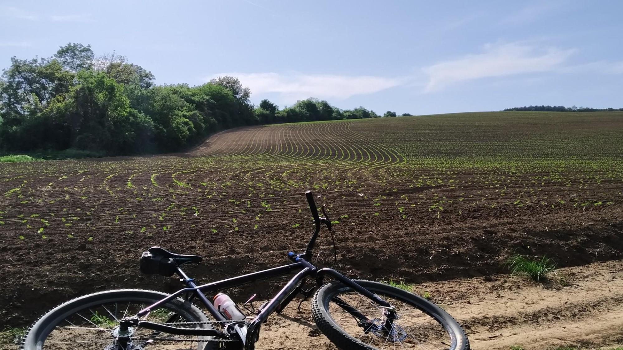 627fd7b862f03b69535b6d98.jpg?width=2000&