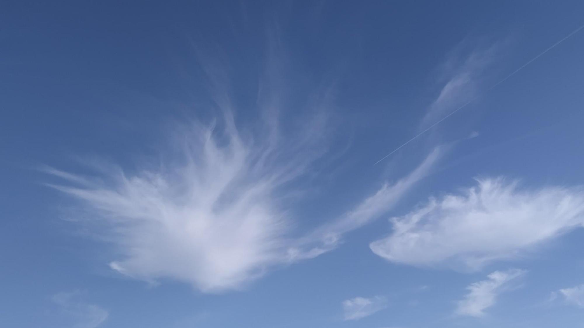 62800bf686be0b739fd7a1b0.jpg?width=2000&