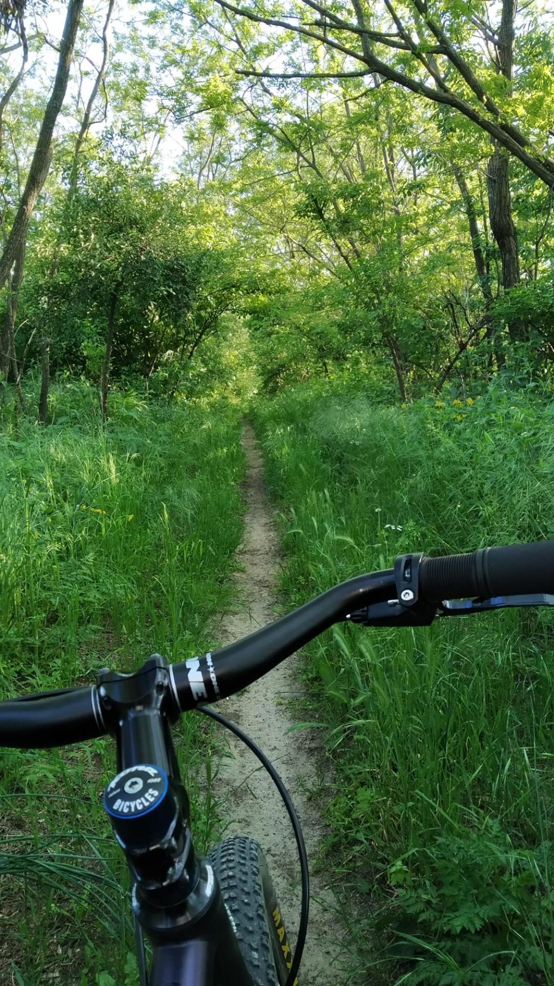 62812dabb820d01579b73055.jpg?width=2000&