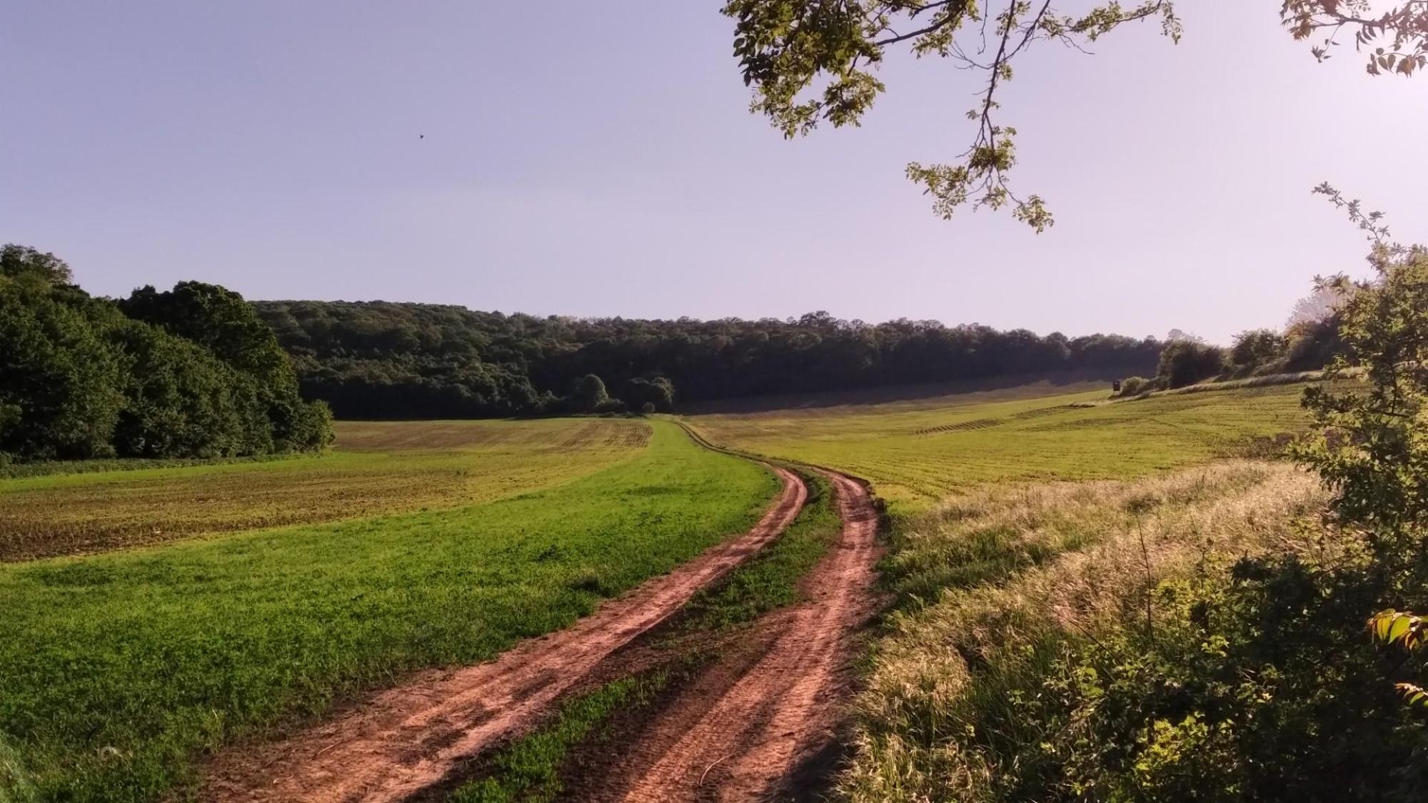 62812dad4f9fb94adcd73b62.jpg?width=2000&