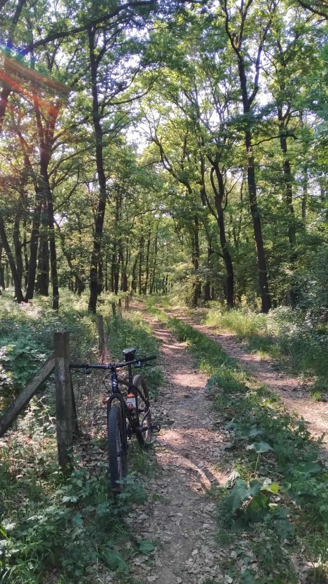 62812db0826e8b1fe207daf6.jpg?width=2000&