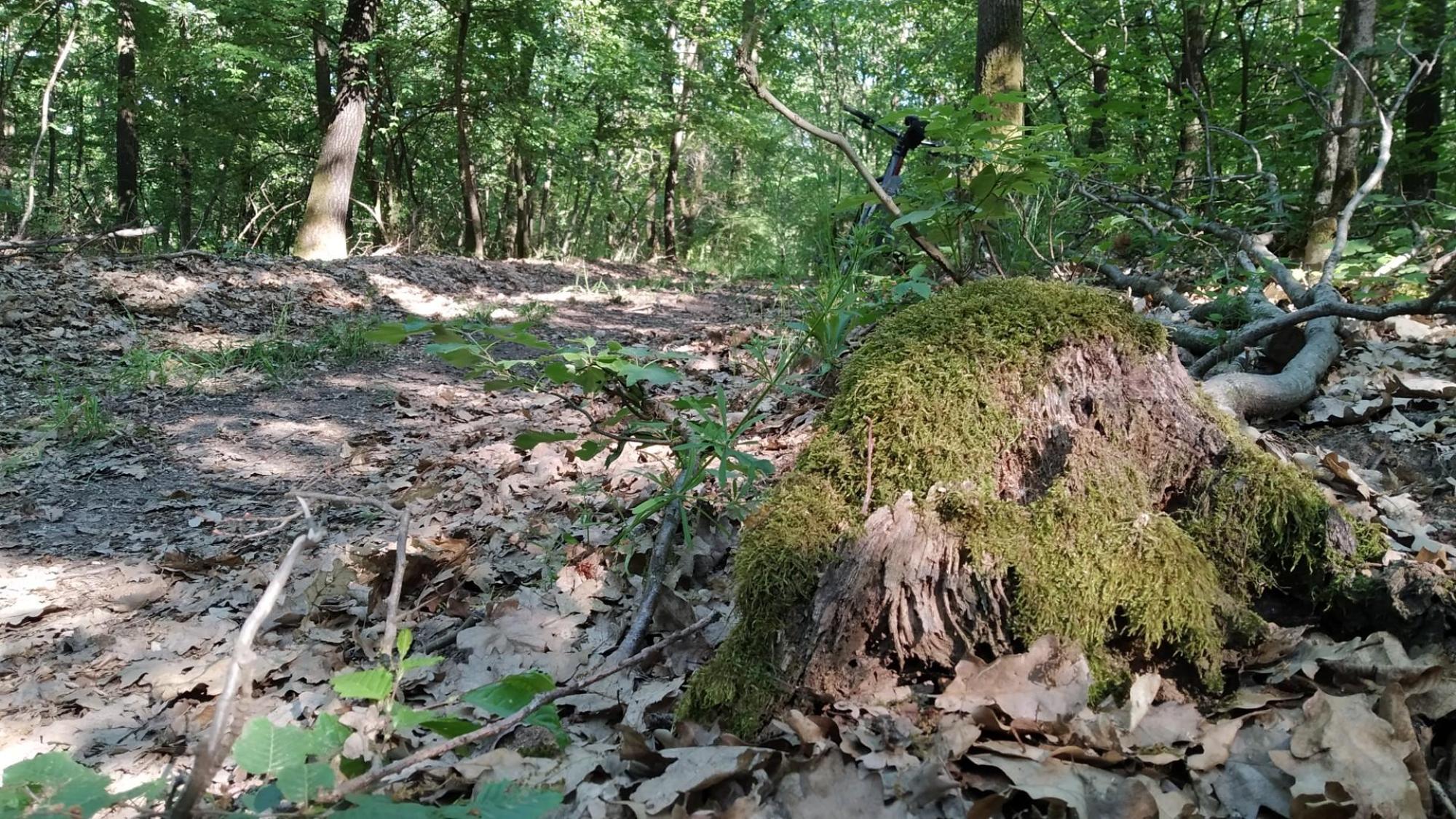 6287c322373bd50ff958b596.jpg?width=2000&