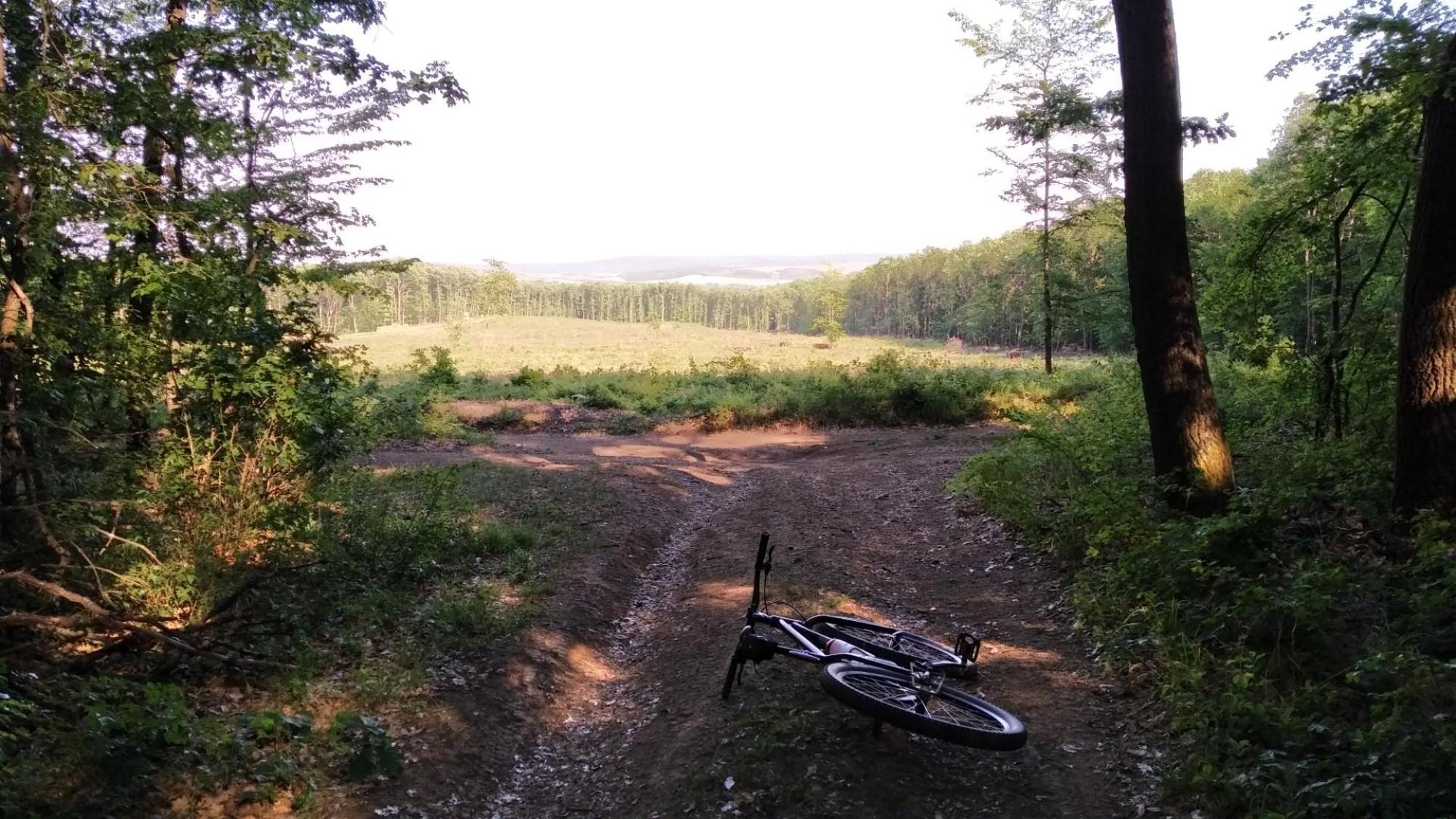 6287c32347ad85435a09d421.jpg?width=2000&