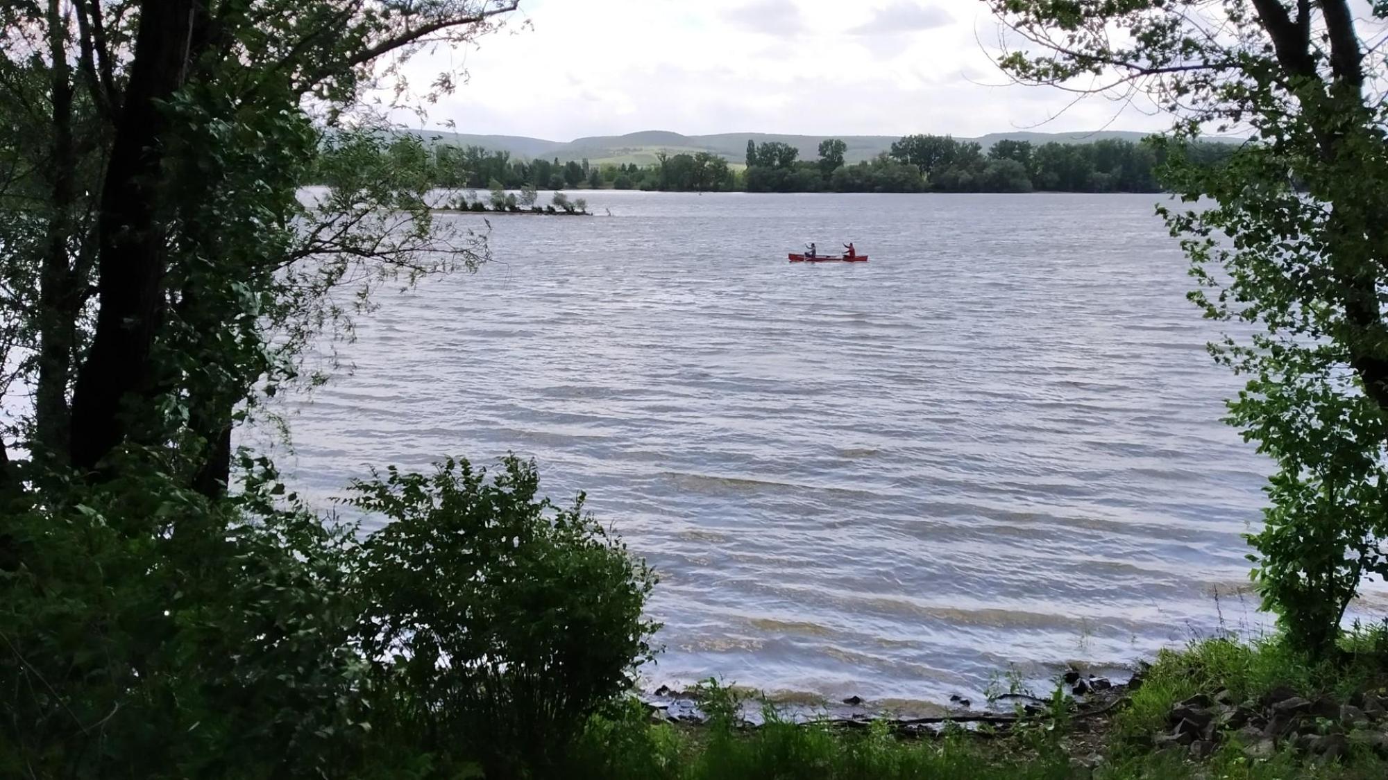 629239344c276b2e93556e38.jpg?width=2000&