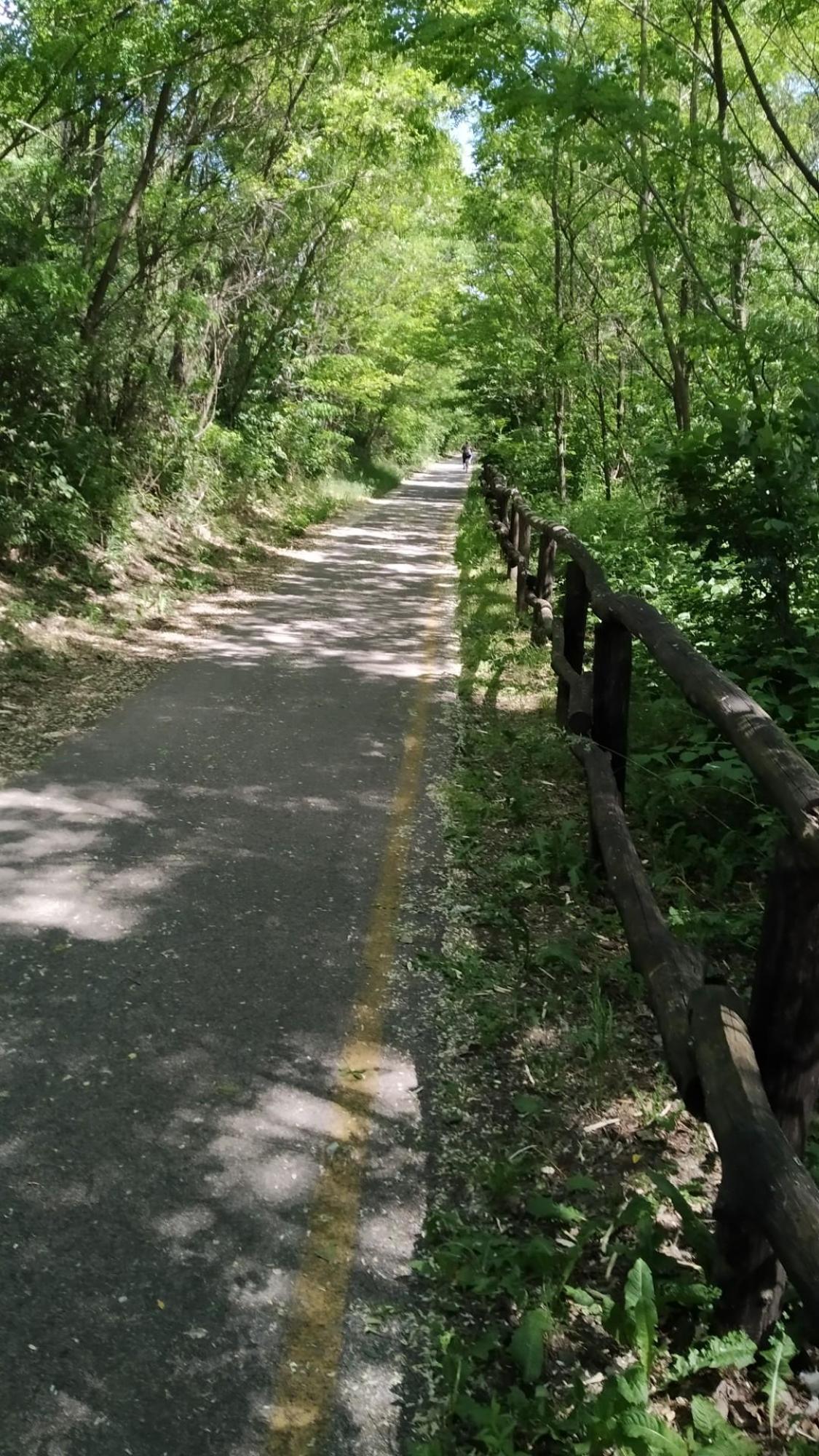 629239391c32ba72e5ad051c.jpg?width=2000&