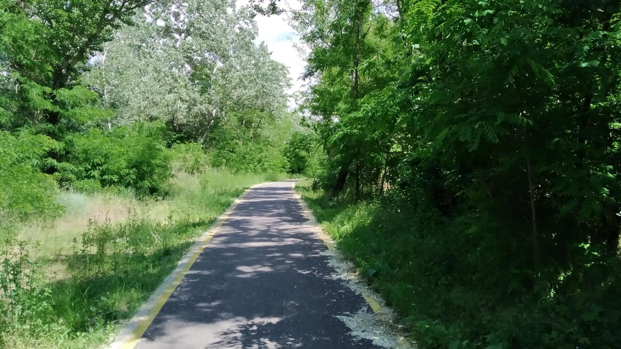 6292393cdac43773780a687d.jpg?width=2000&