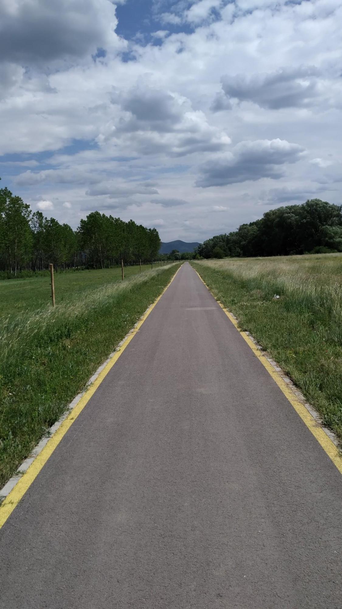 62923941c2599e1c7f223456.jpg?width=2000&