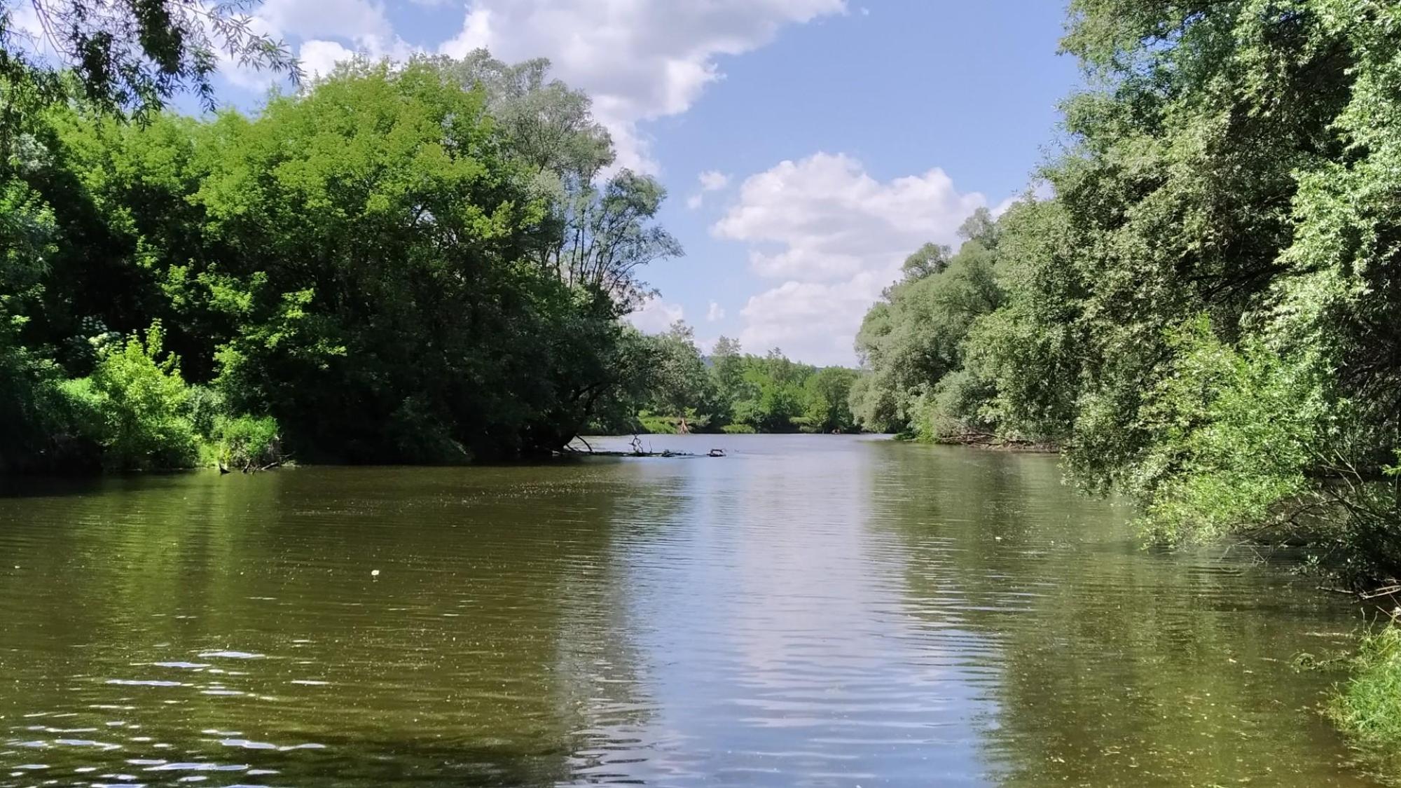 6292394b2b0b151c6120001d.jpg?width=2000&