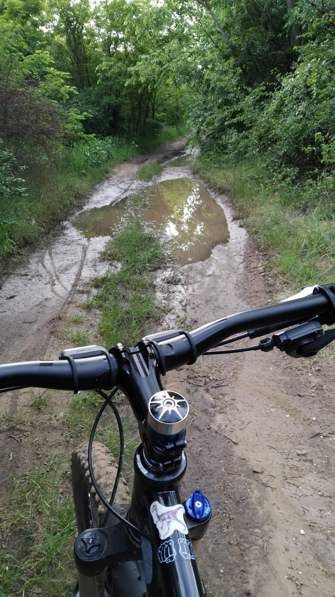 62979c8515460a550de94183.jpg?width=2000&