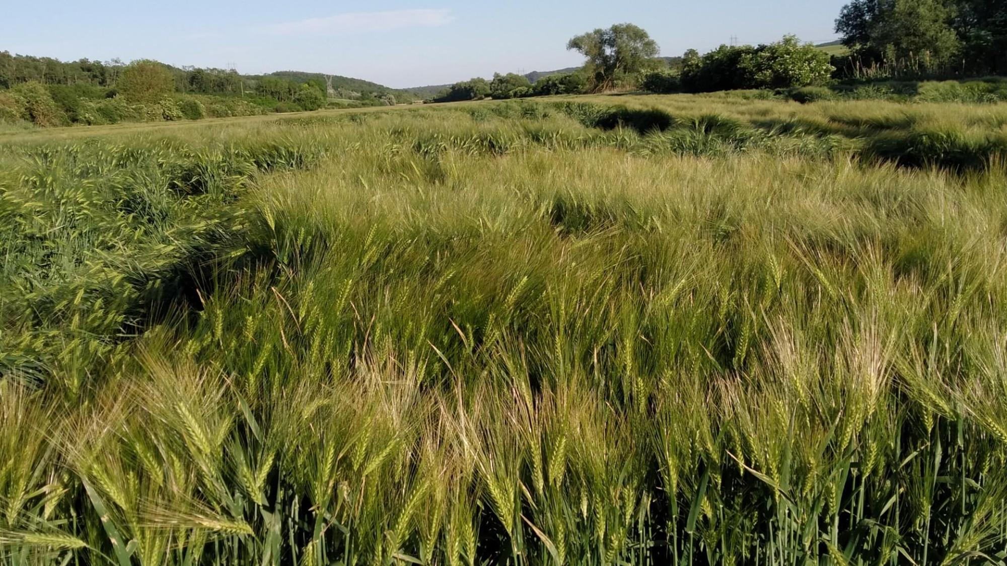 6298f65bb585400f156b0008.jpg?width=2000&