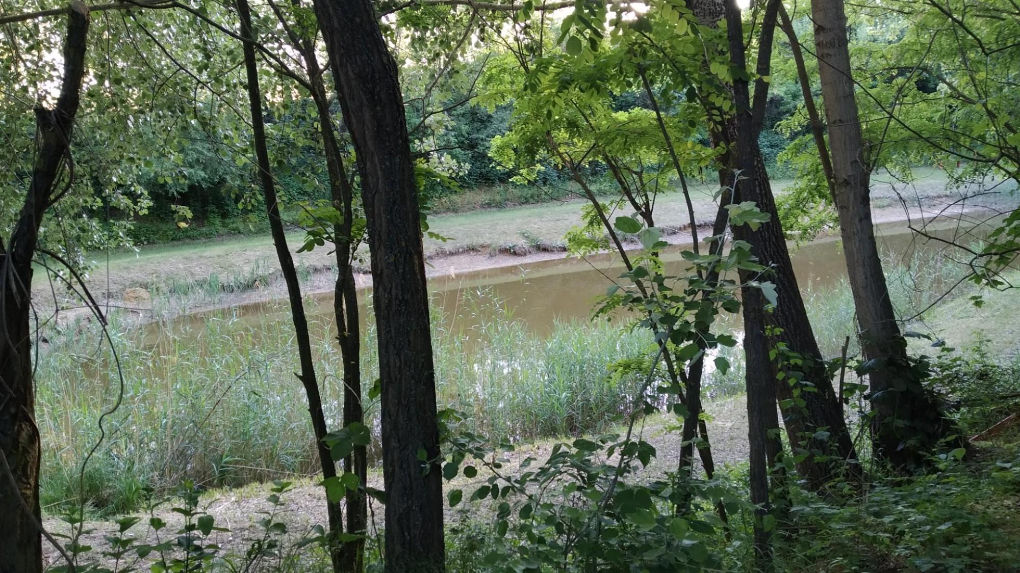 6298f65bbbc44c0a24e52063.jpg?width=2000&