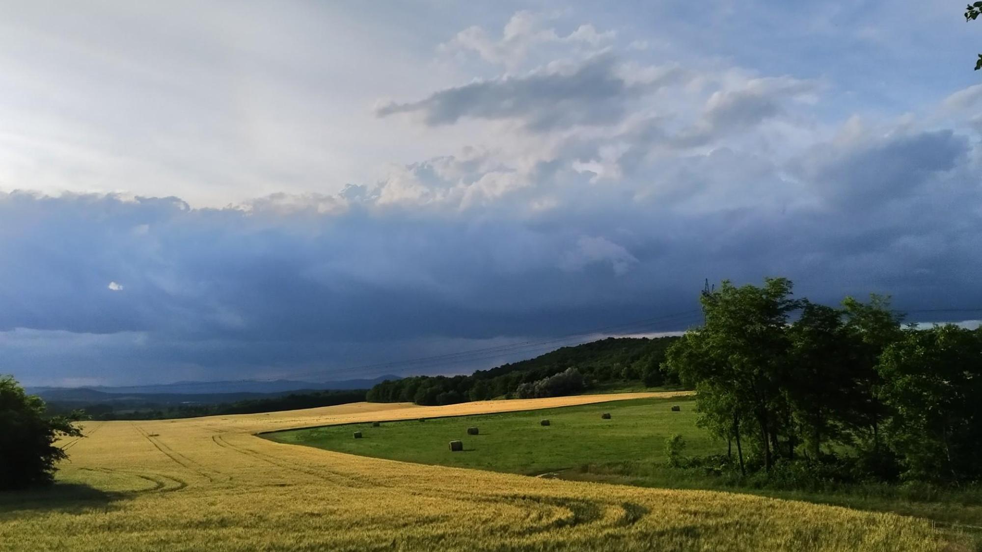 62a775373184a84e80abdc59.jpg?width=2000&