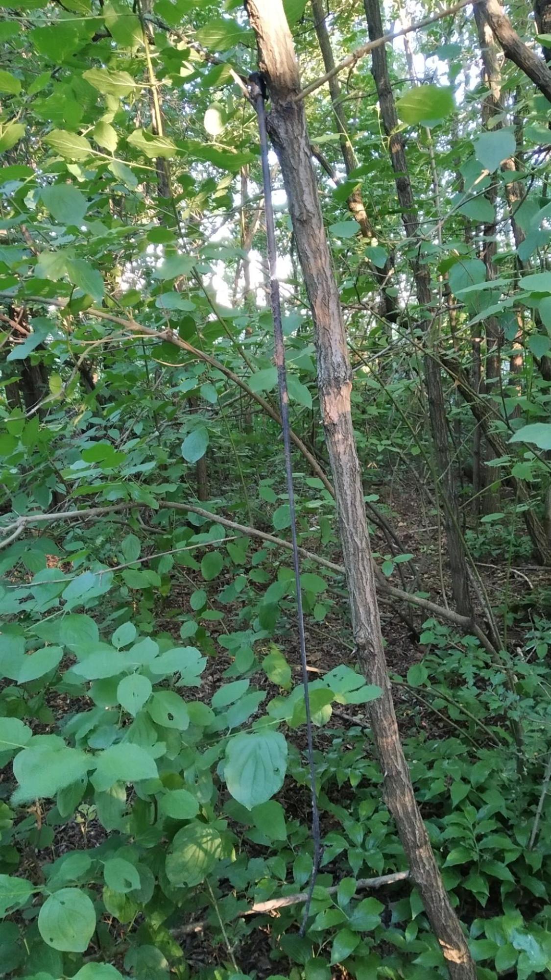 62a8cdaca6ed9c5363fc6e68.jpg?width=2000&