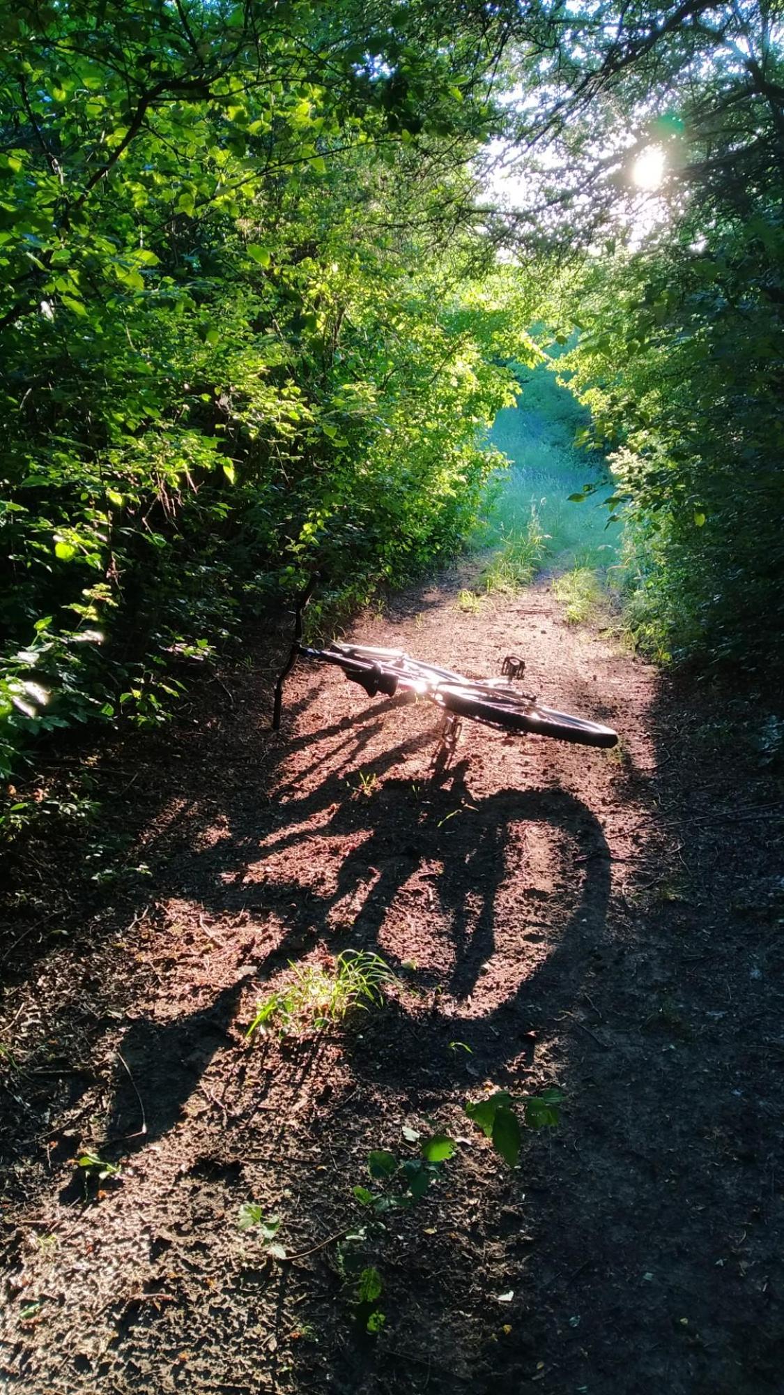 62a8cdaf561d77525cc2b35e.jpg?width=2000&