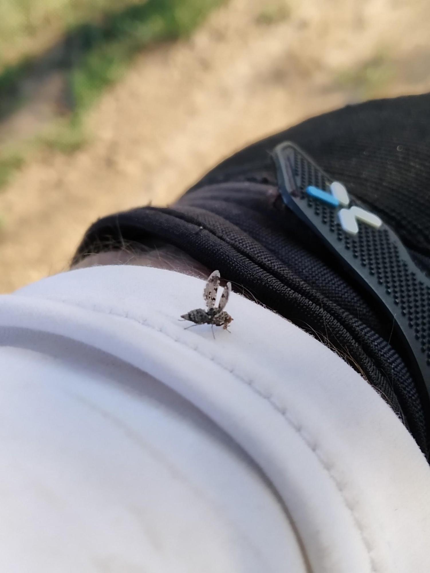 62ae05e424f2863d0b562e43.jpg?width=2000&