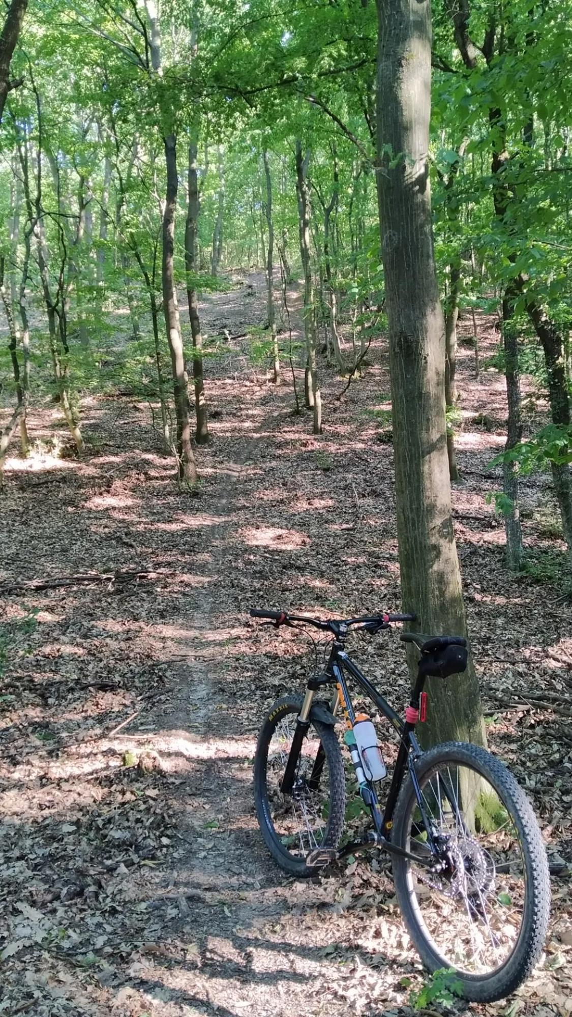 62ae05e6d71ad35dca7c9bf6.jpg?width=2000&