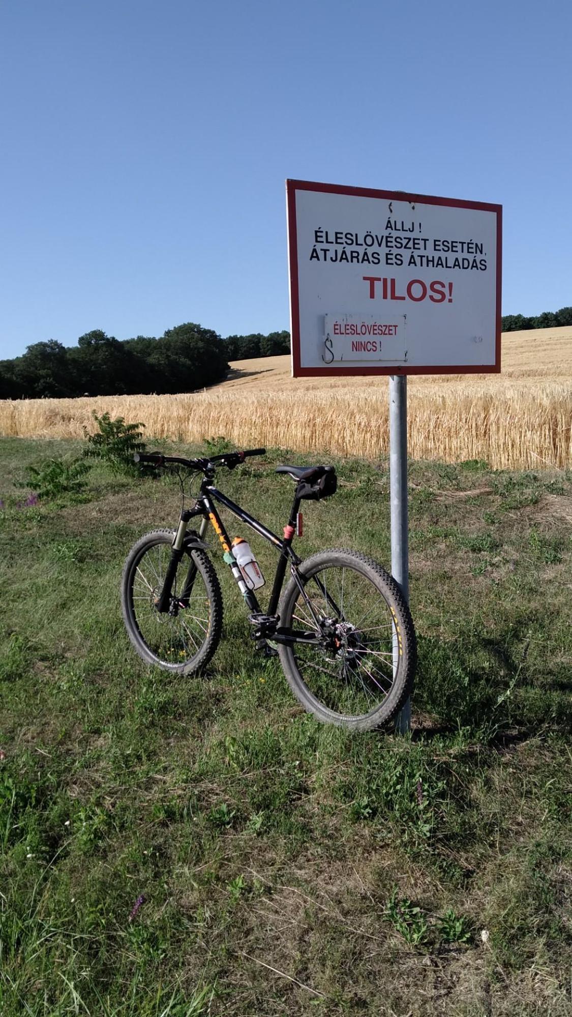 62ae05e7c54aa611d767ffbb.jpg?width=2000&