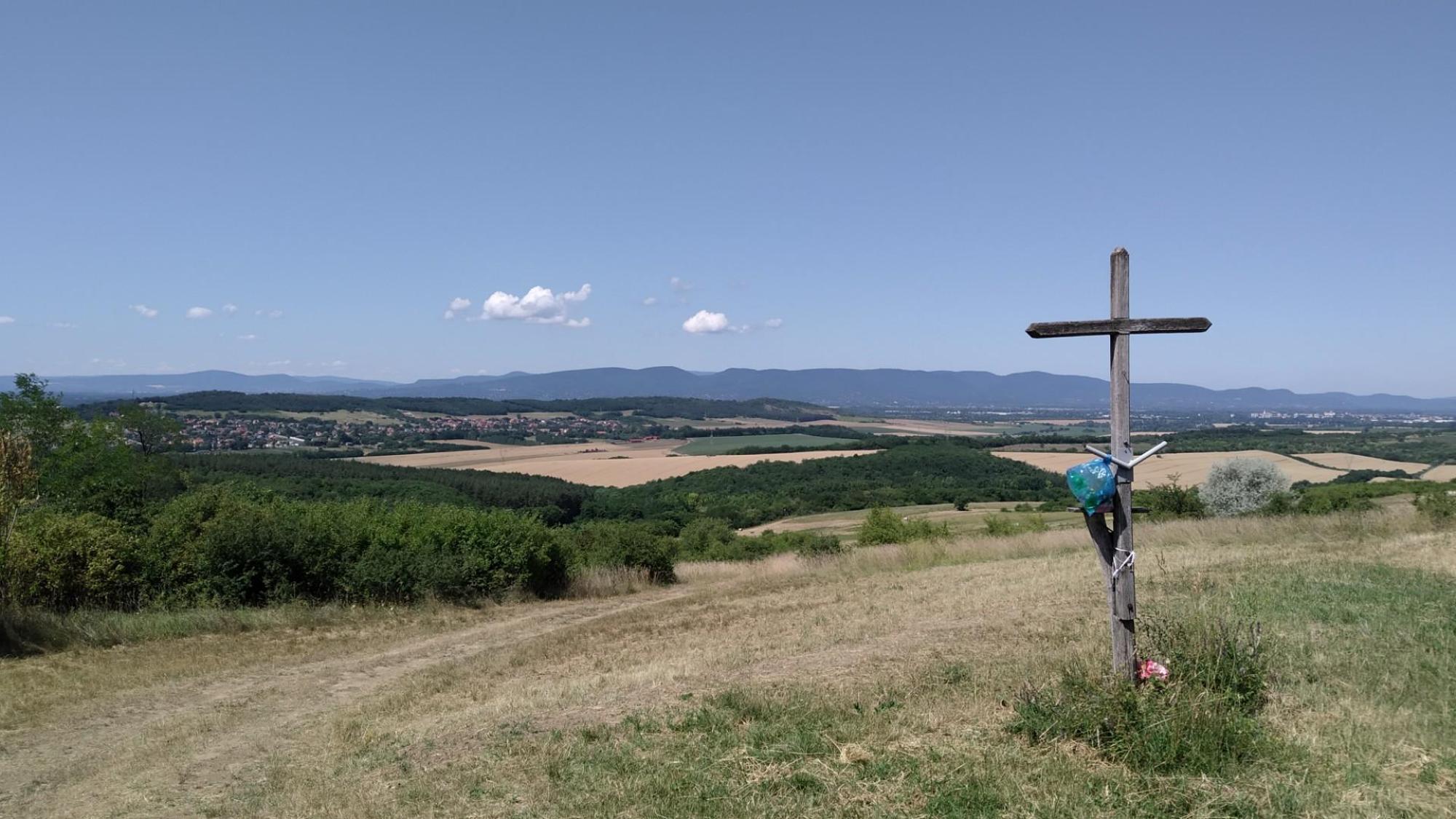 62b83209de9d883be619768f.jpg?width=2000&