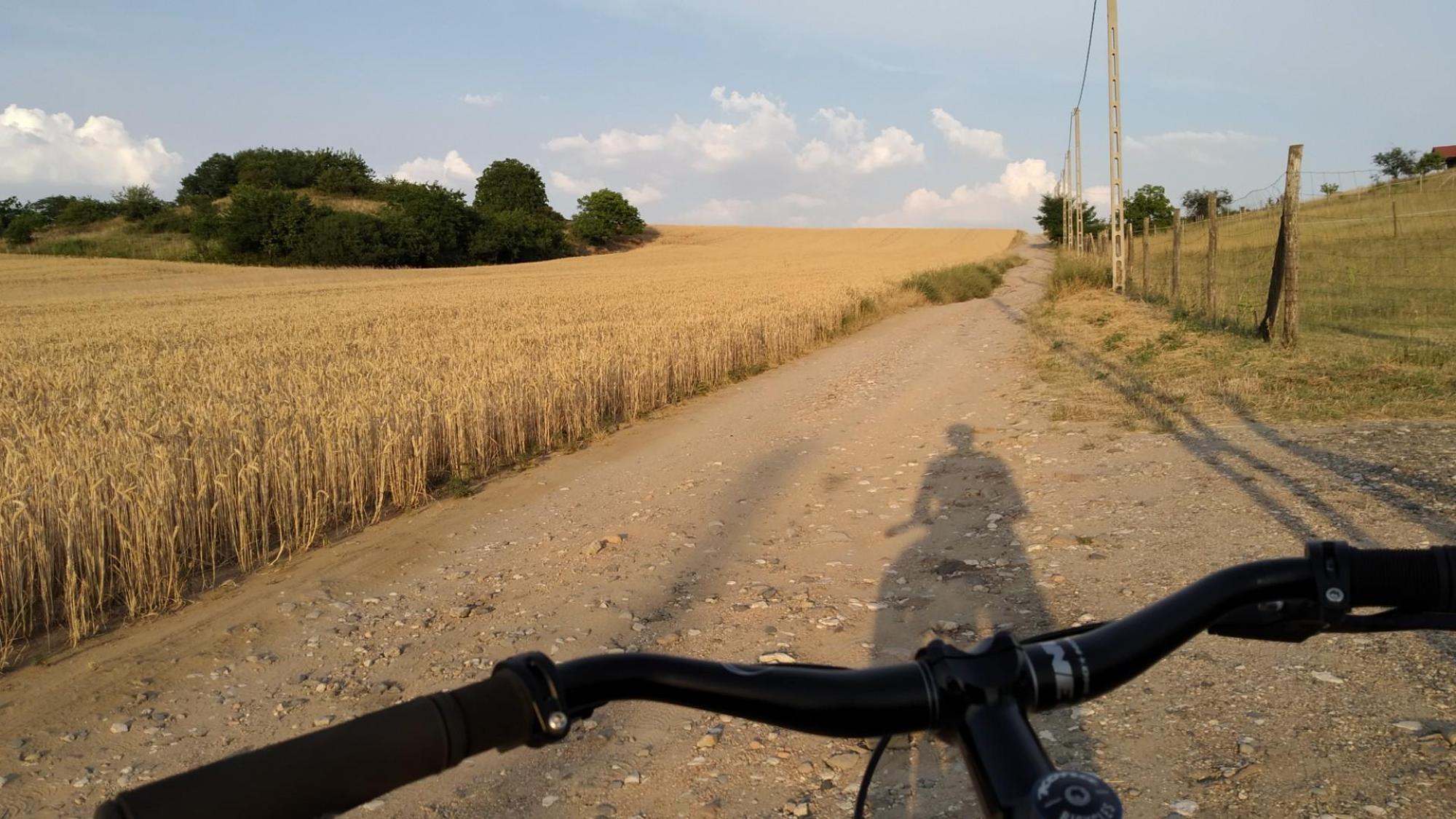 62bf3d7c30601e49eb8252b2.jpg?width=2000&