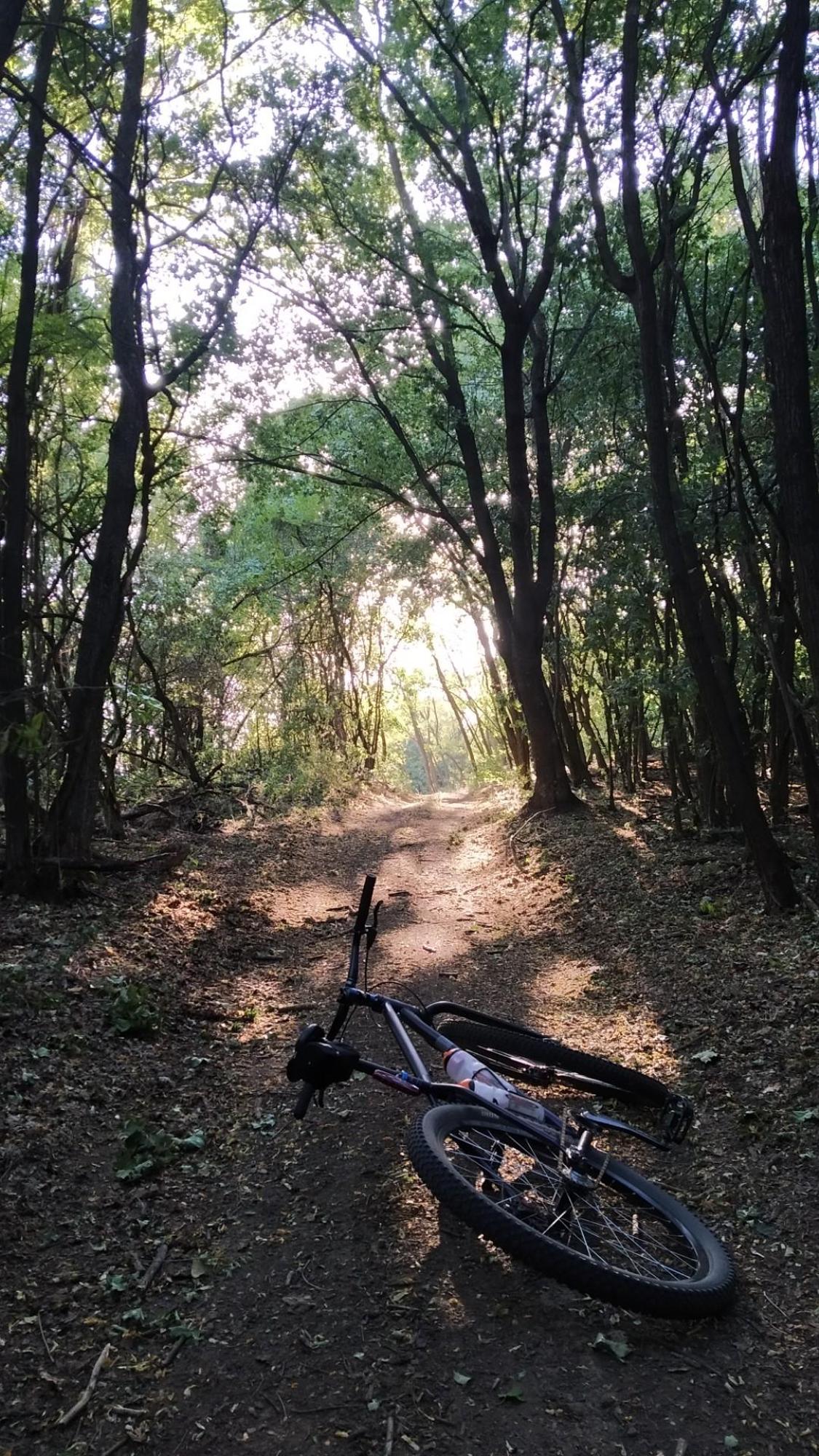 62c0792e8977f620593b7d6c.jpg?width=2000&