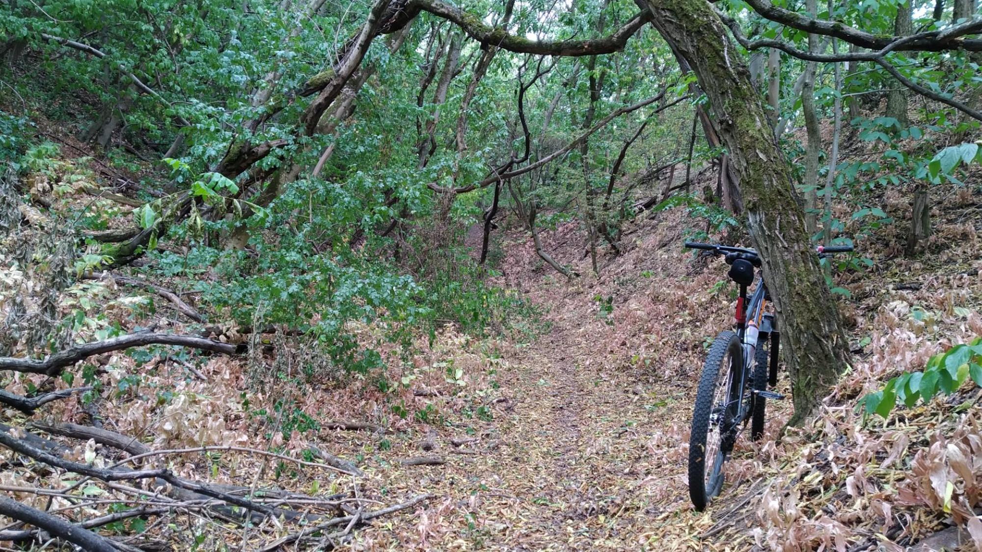 62c851430cedd51fad1eaa6c.jpg?width=2000&