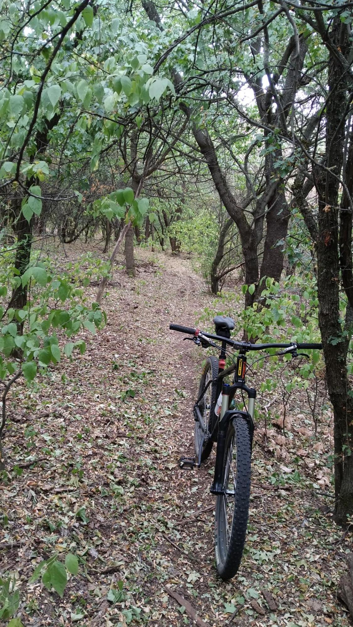 62c851649ba5616dcfbcaa55.jpg?width=2000&