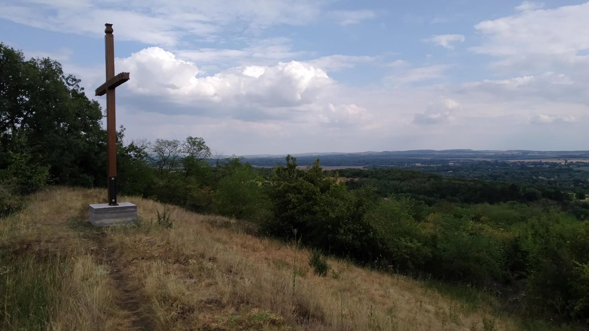 62c85177400a3b6cdab0247f.jpg?width=2000&