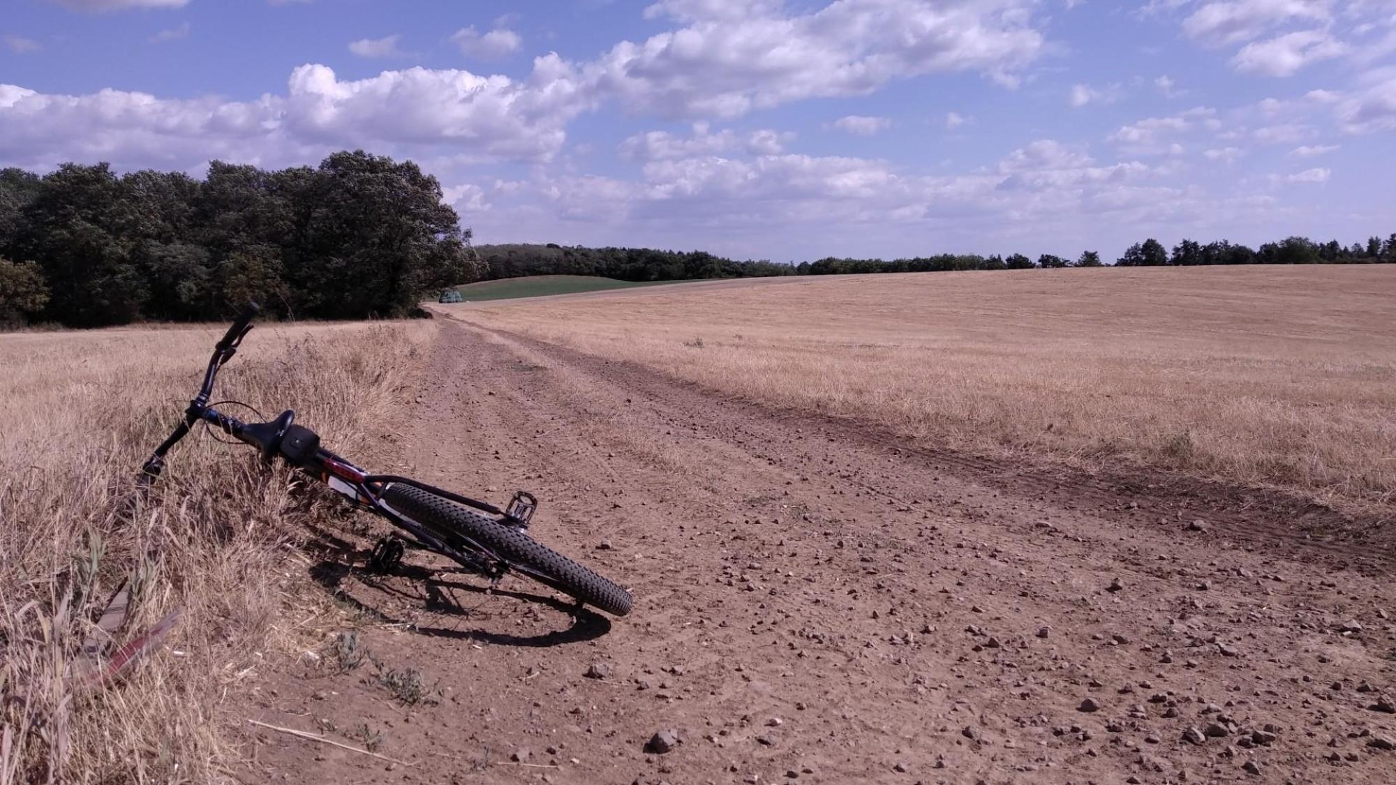 62c9a3872fd32a40cad9a006.jpg?width=2000&