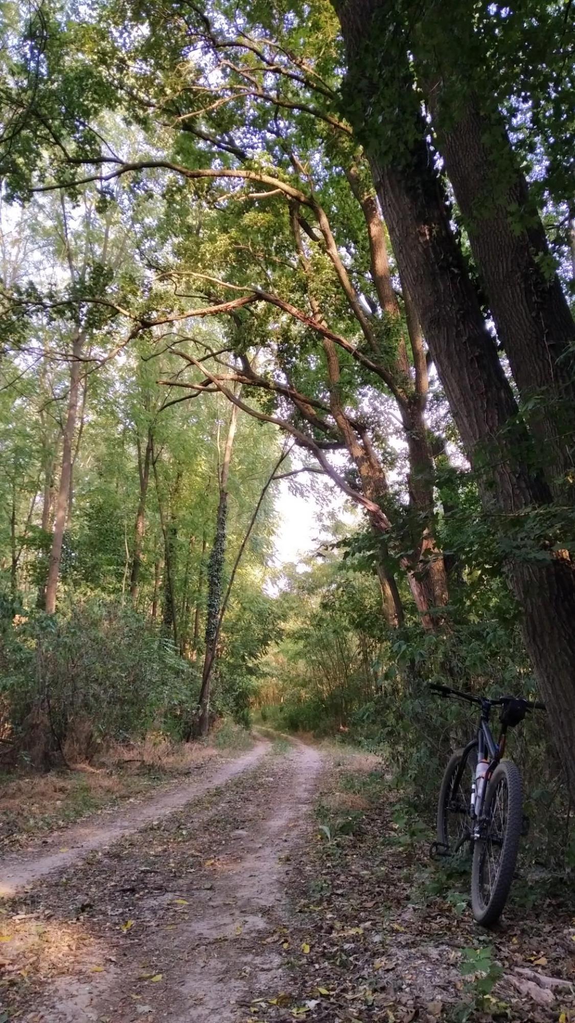 62d4356288d96d01b134661f.jpg?width=2000&