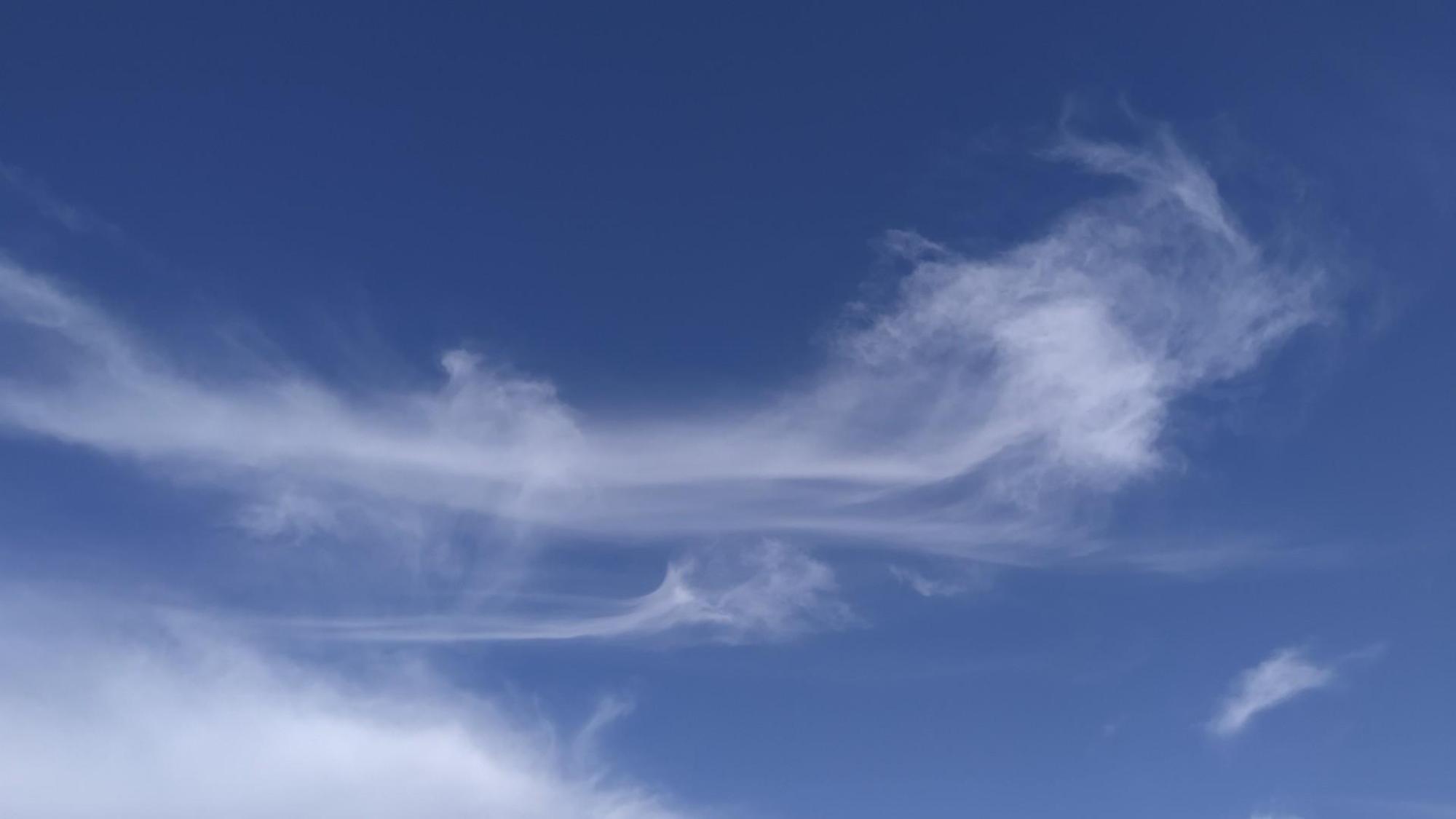 62d4356314c3161091a03d1c.jpg?width=2000&