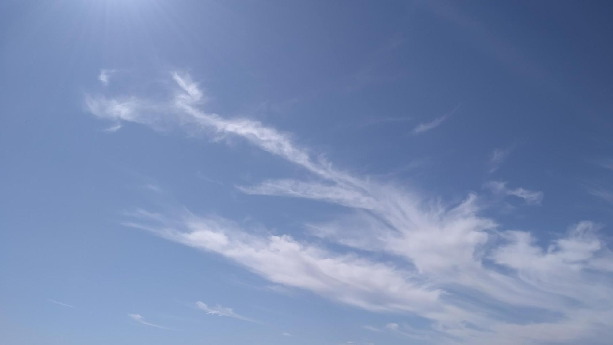 62d43564e5f0612c2d290de7.jpg?width=2000&