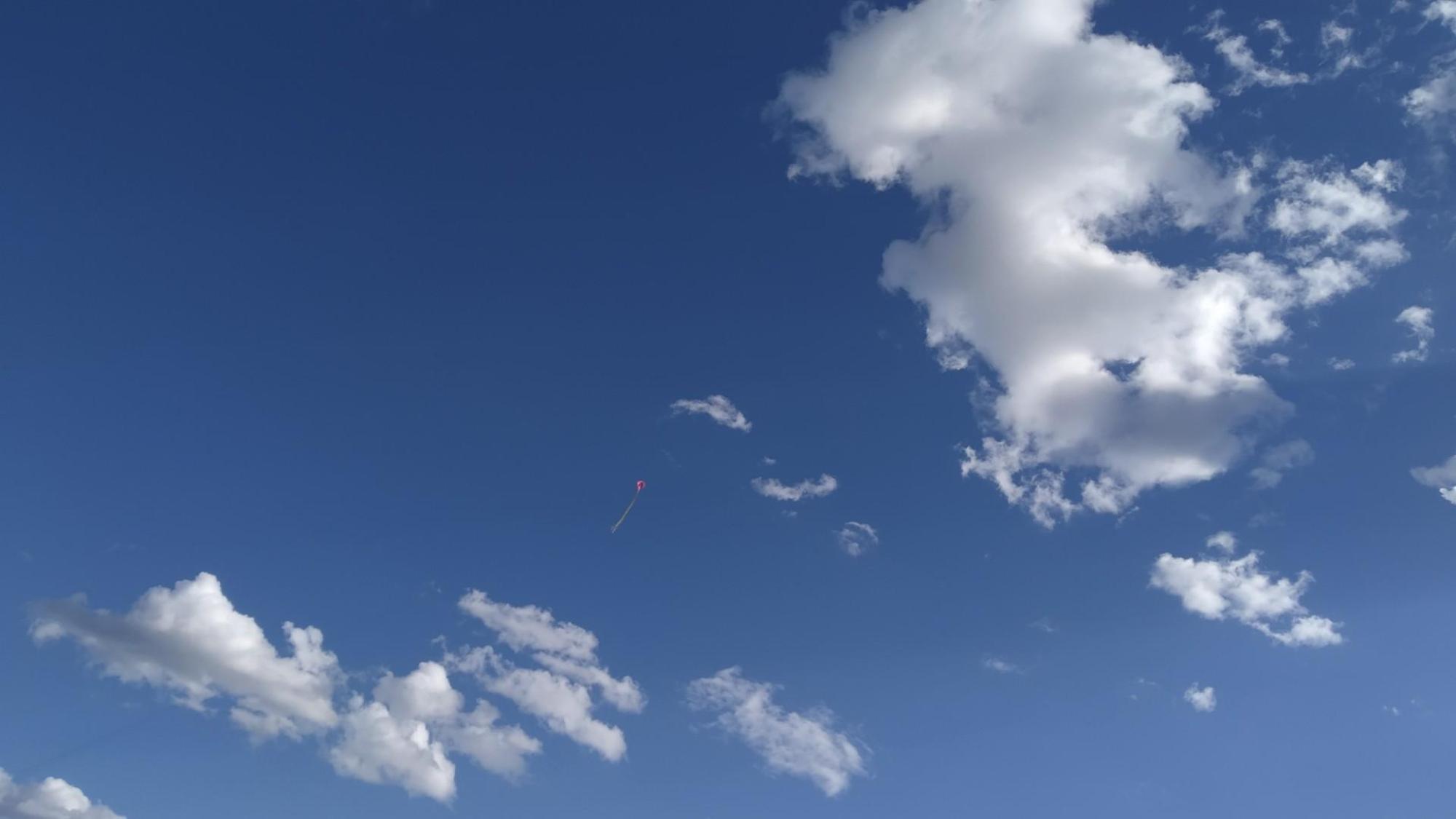 62d44c3c2401b06e5ef38199.jpg?width=2000&