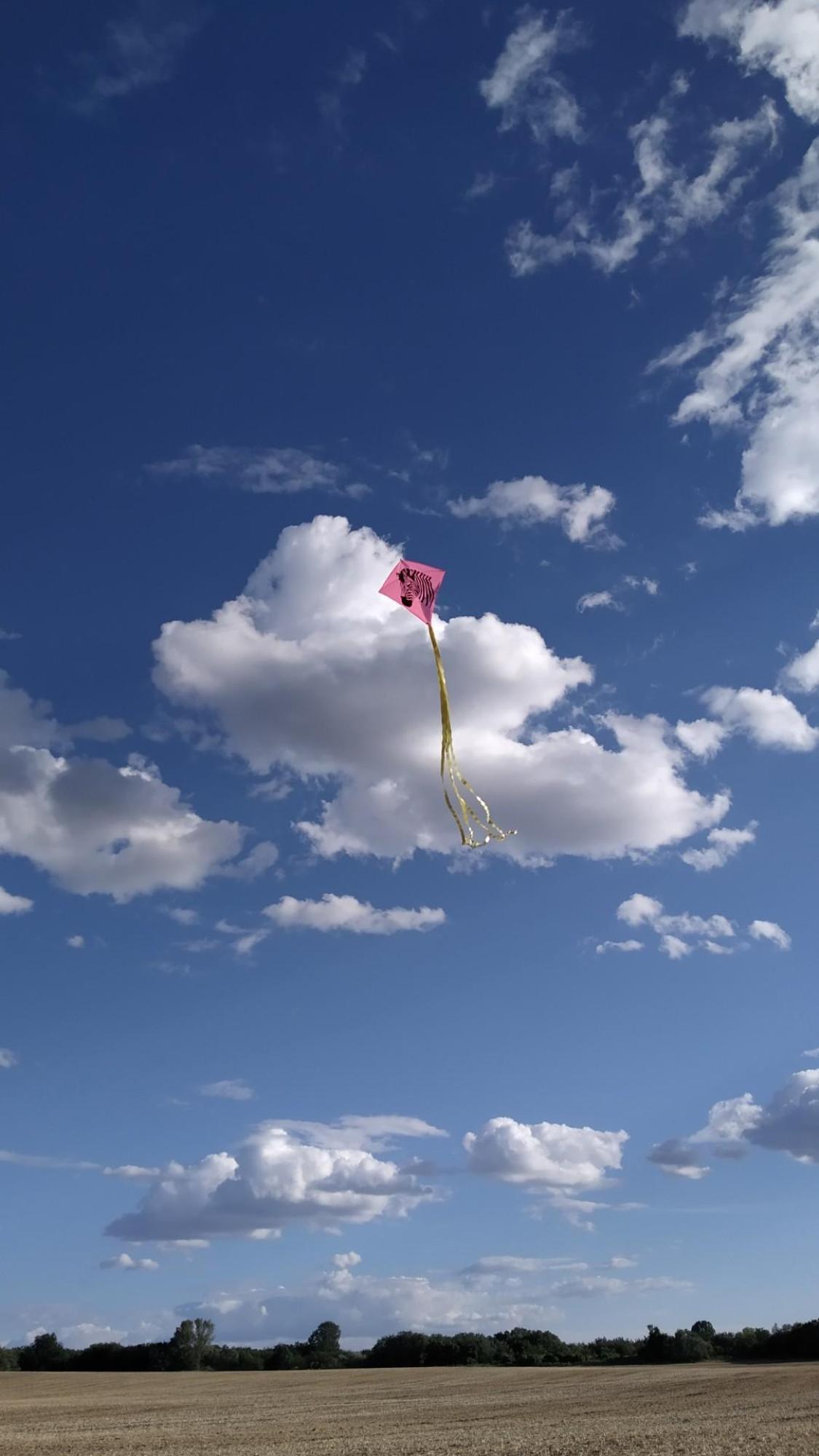 62d44c3cf93d567aa837f56d.jpg?width=2000&