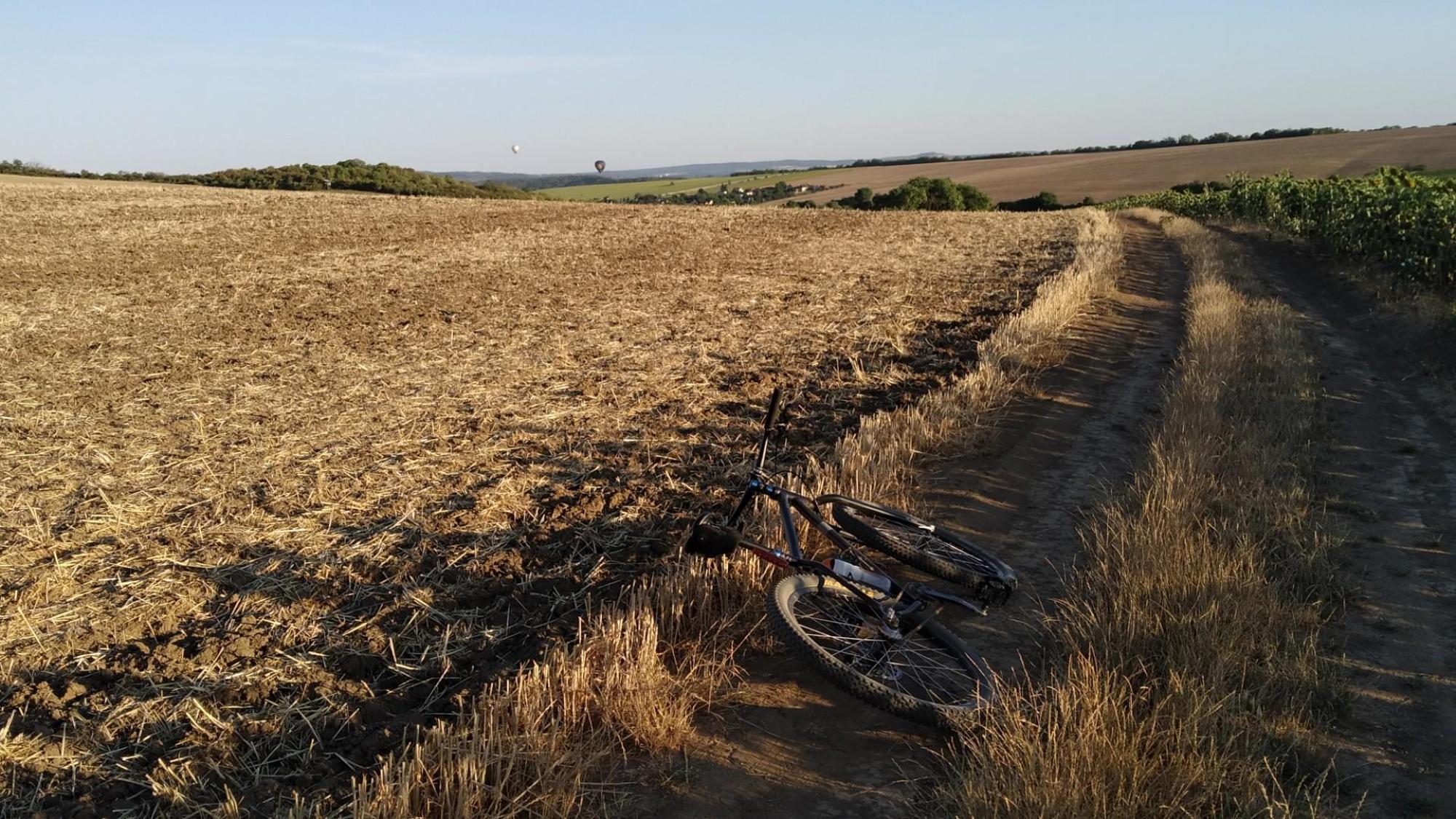 62d5a4f860808b1e3e326f66.jpg?width=2000&