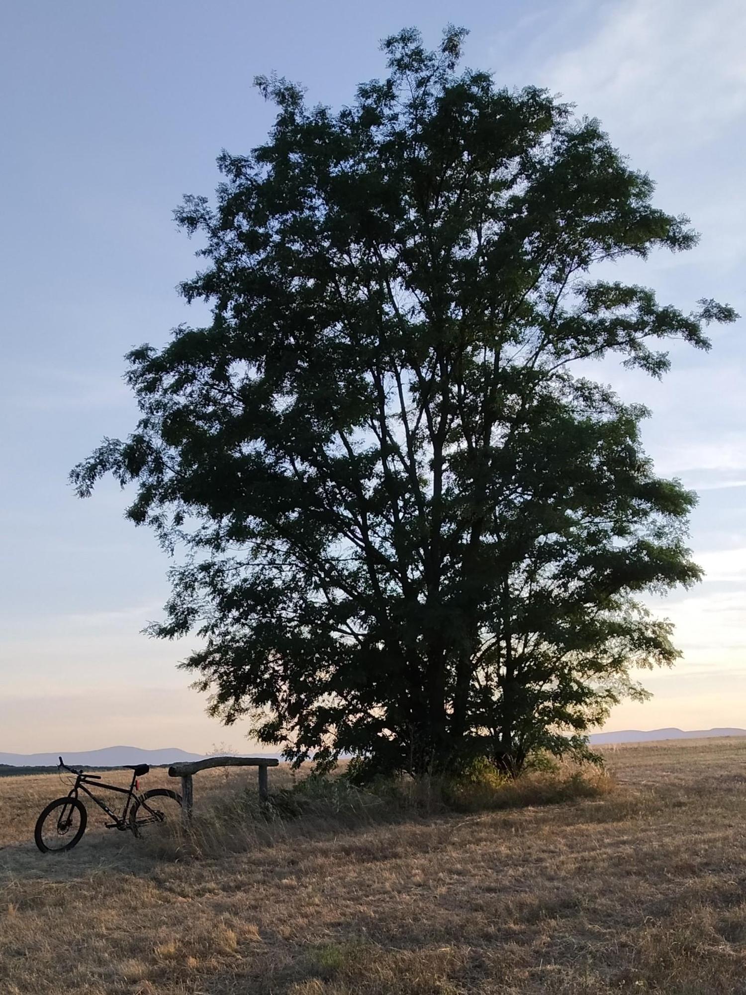 62d5a4f94953b81ed8bcf15f.jpg?width=2000&