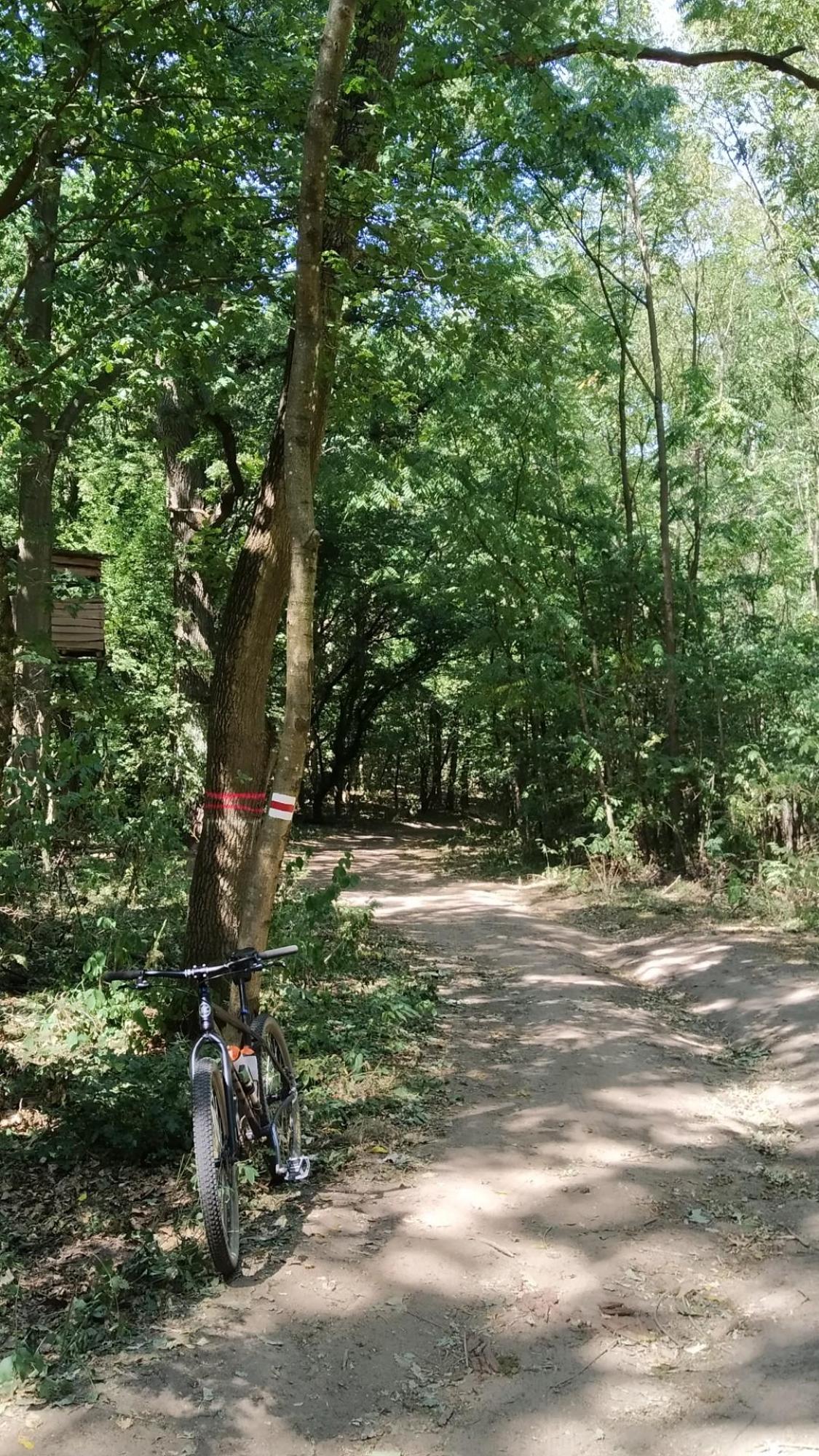 62d91fa3e883177fe5d03ffd.jpg?width=2000&