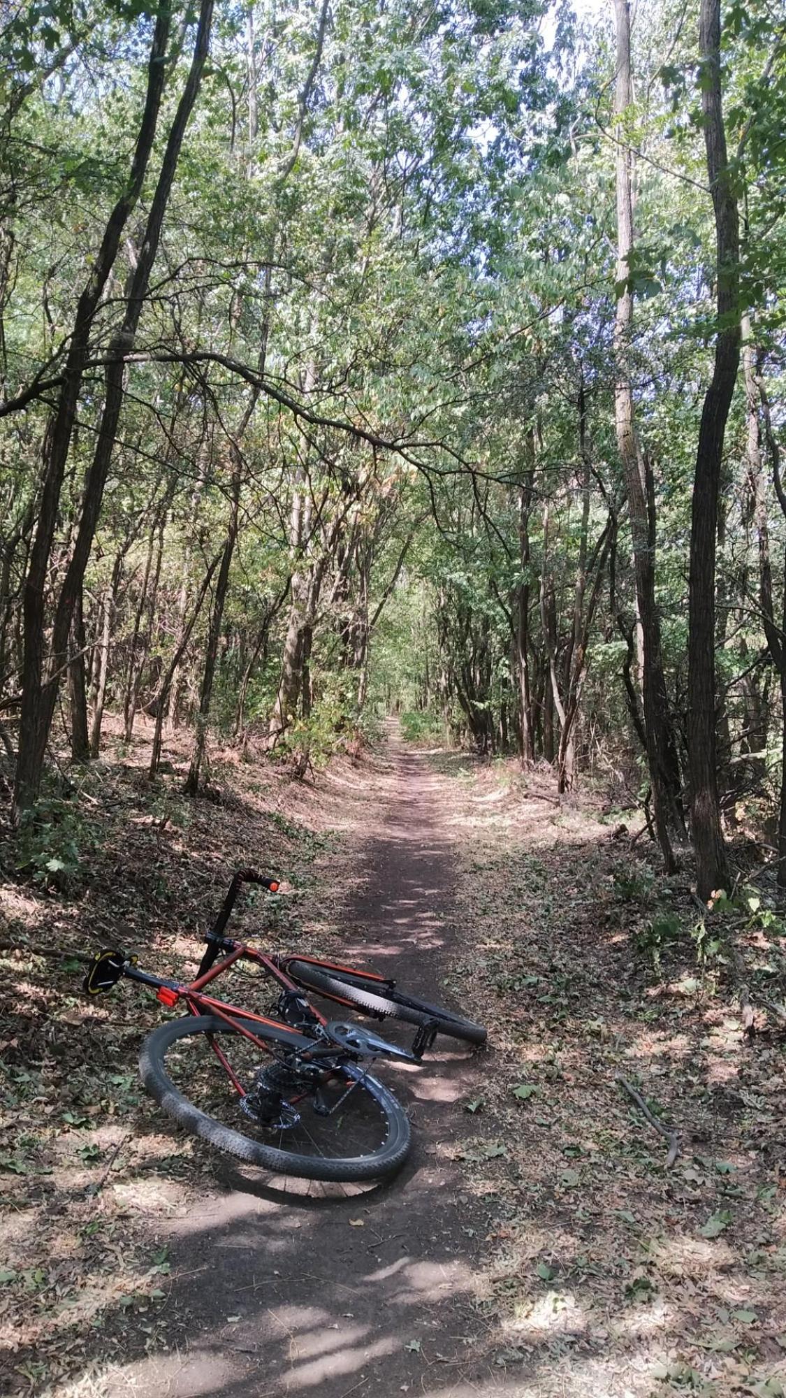 62da75238eecd03b21ce8cc6.jpg?width=2000&