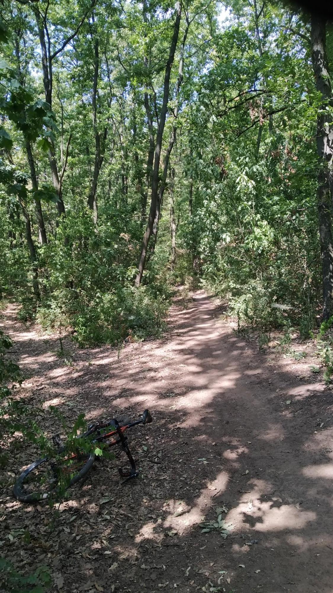 62da7524327b63685636ee9d.jpg?width=2000&