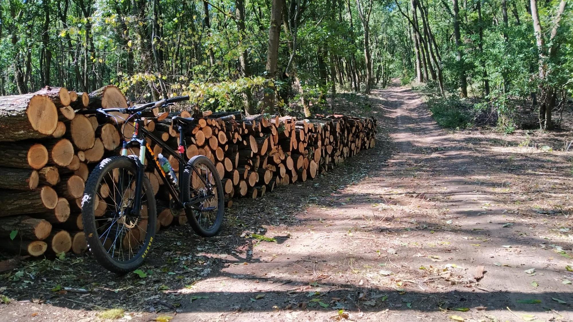 62e107a56428eb209d0b3459.jpg?width=2000&