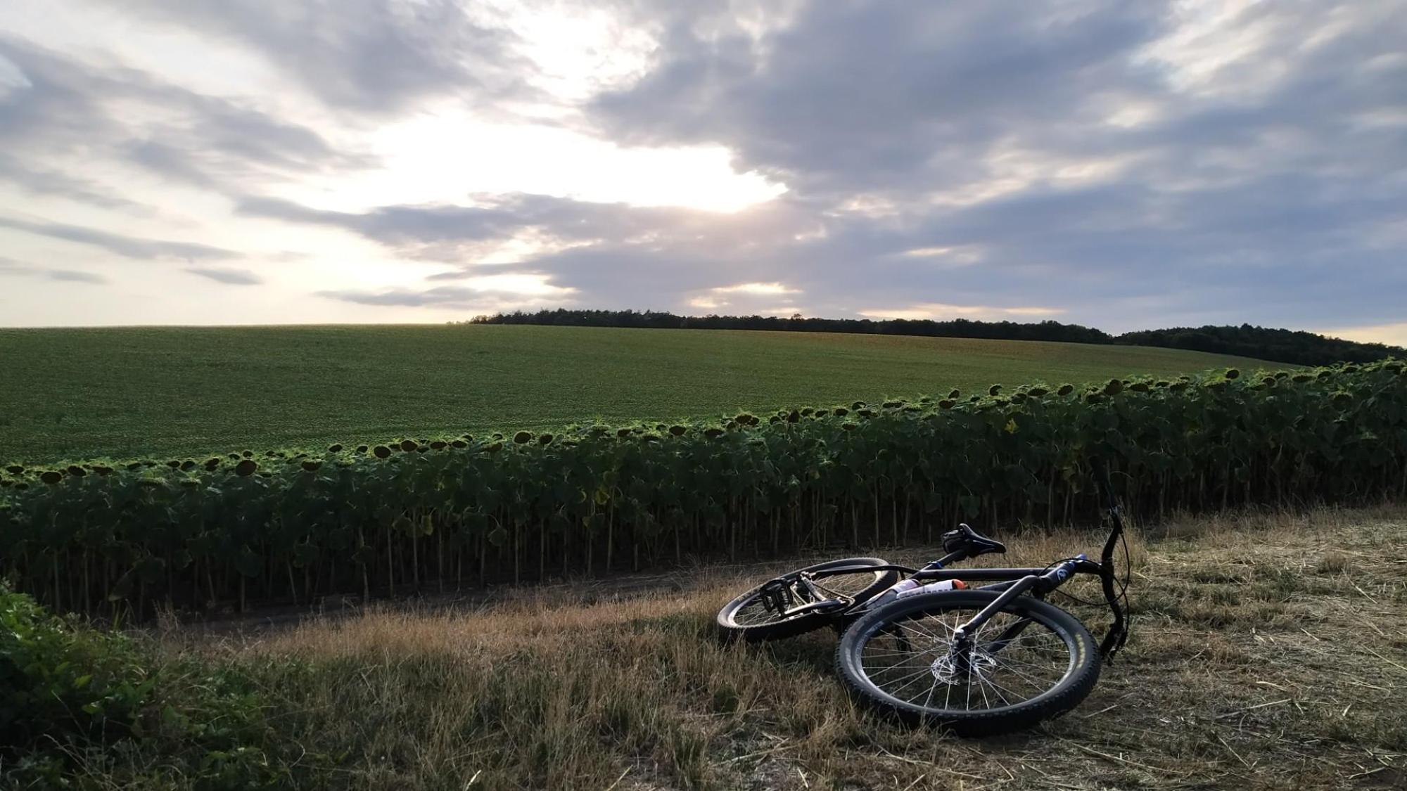 62eff9cd8b2ee21ab04fa7f3.jpg?width=2000&