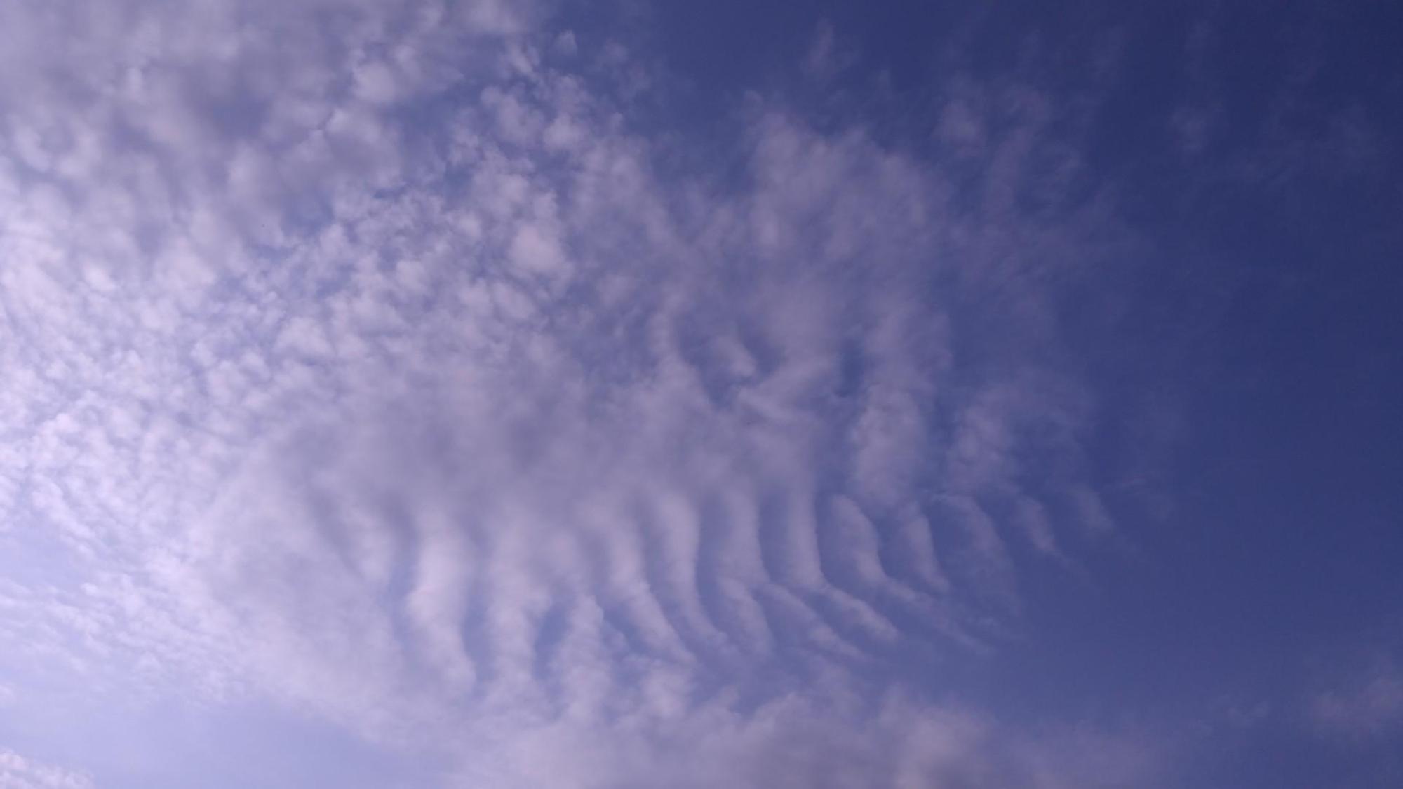 62eff9cda717453208c30b4e.jpg?width=2000&