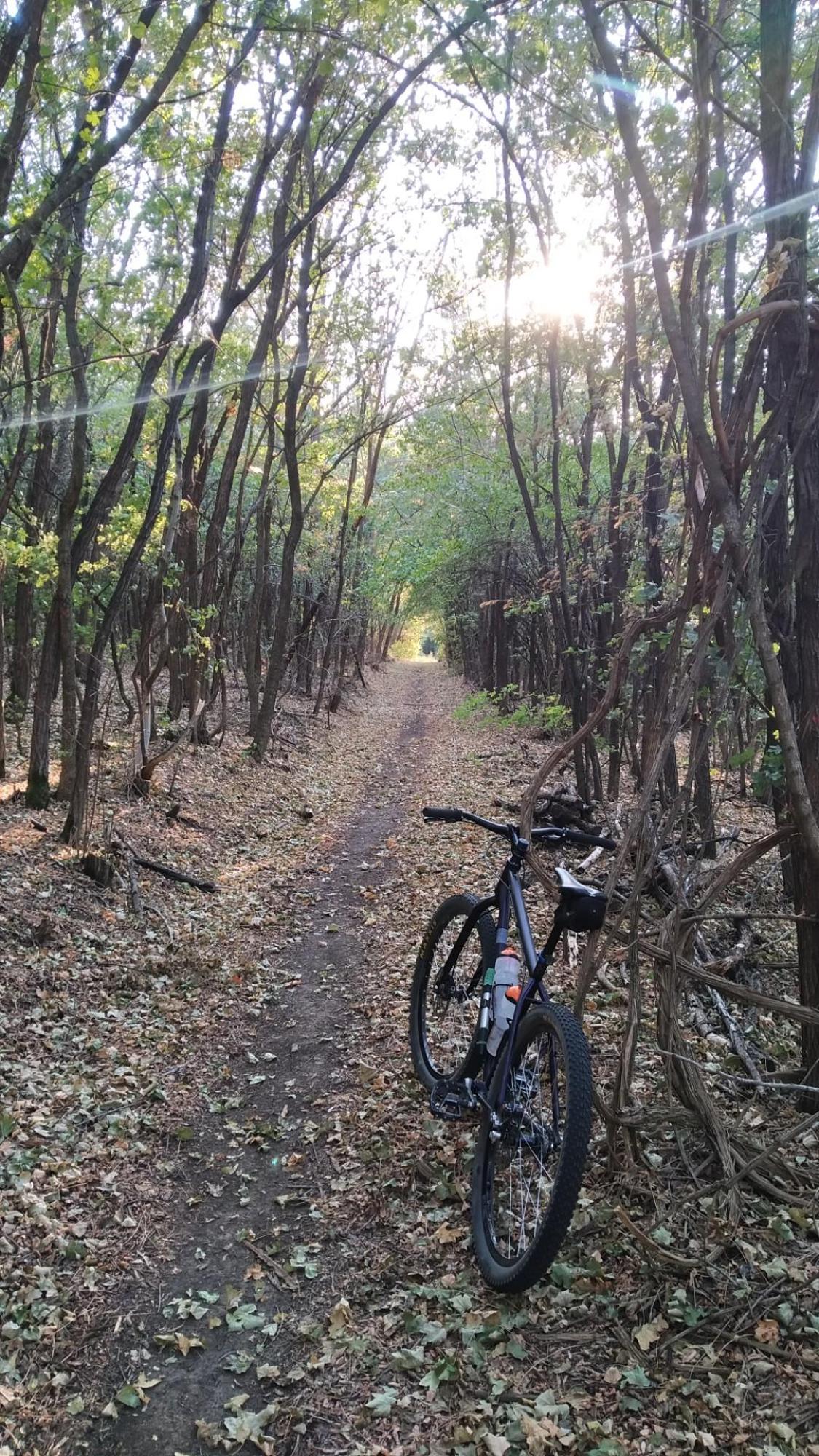 62eff9cebf24ef0bb65c6fcc.jpg?width=2000&