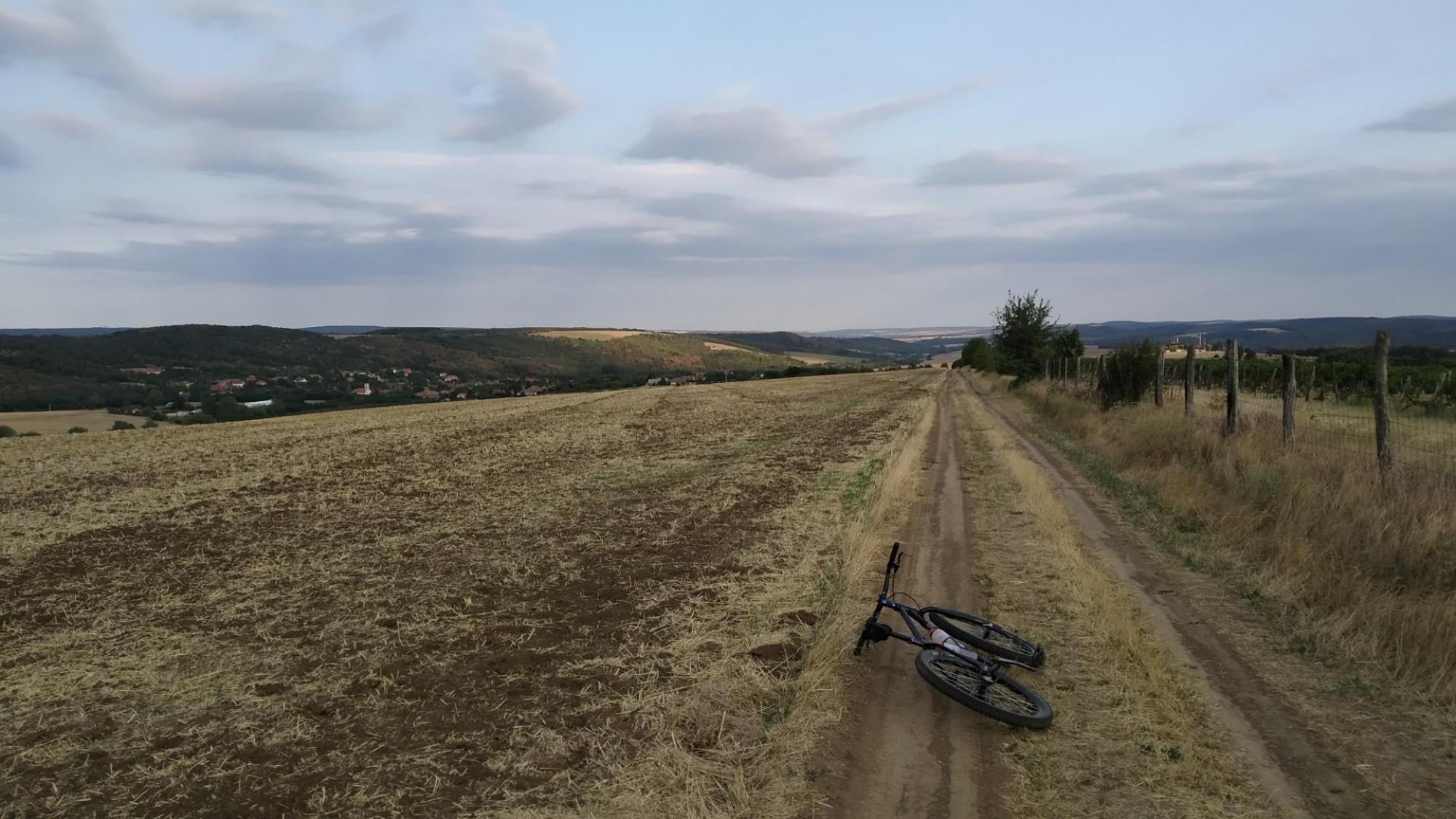 62eff9d3bf24ef0bb65c6ff5.jpg?width=2000&