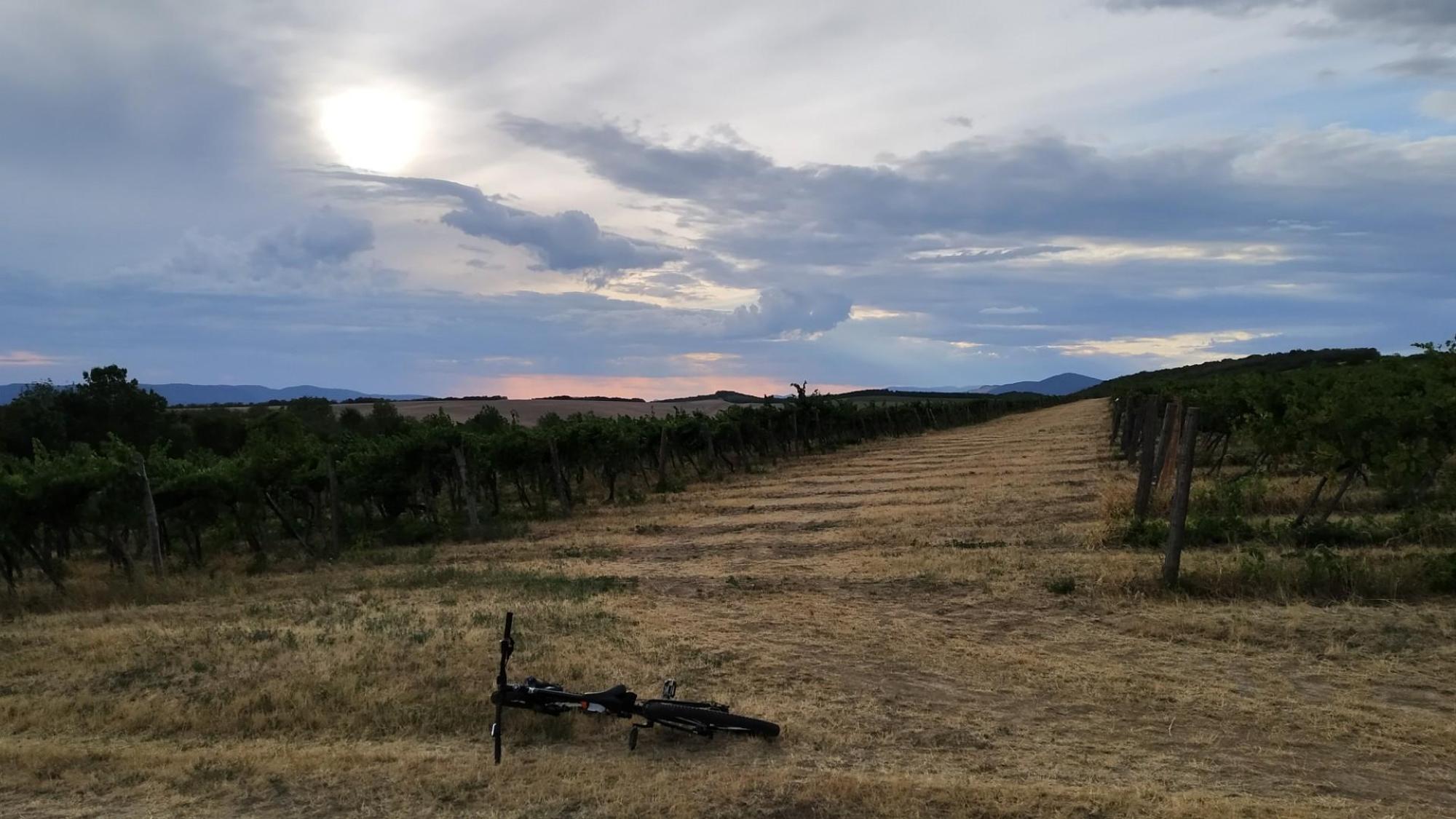 62f5381bfb4ff768f1d67b3a.jpg?width=2000&