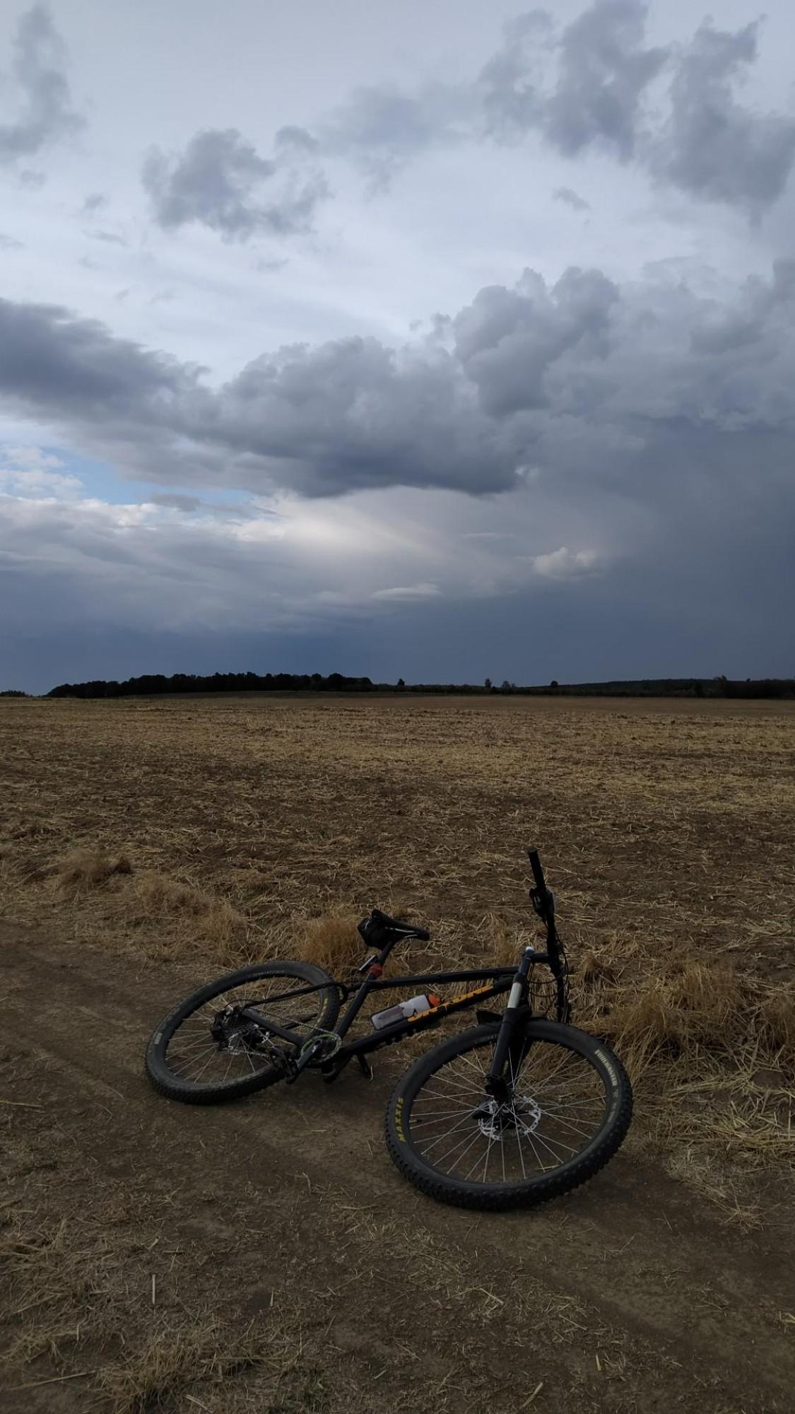 62f5381c86a0ef035ab9e583.jpg?width=2000&